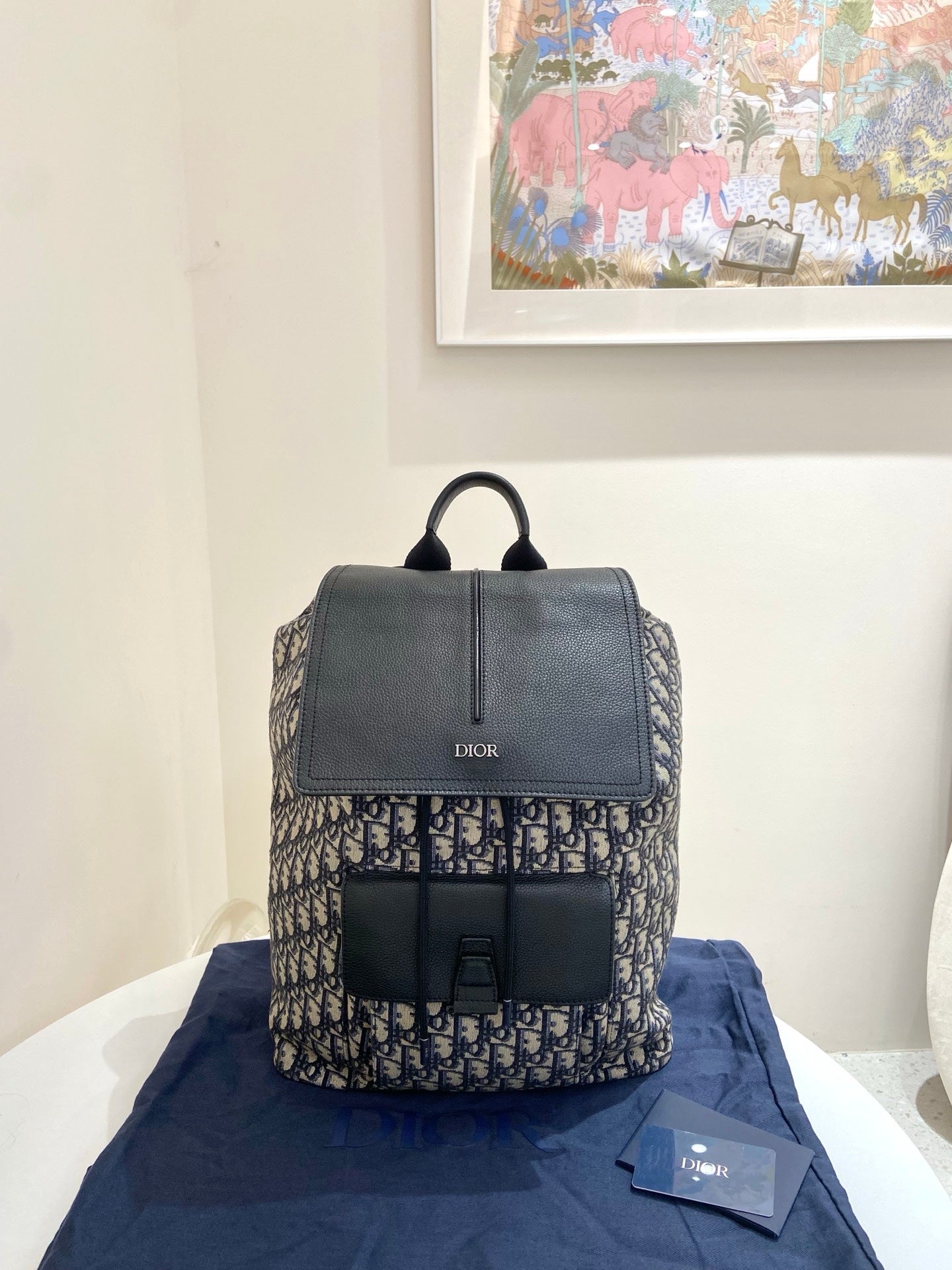 Dior - Oblique Backpack - Leather - Multicolour - (Other)