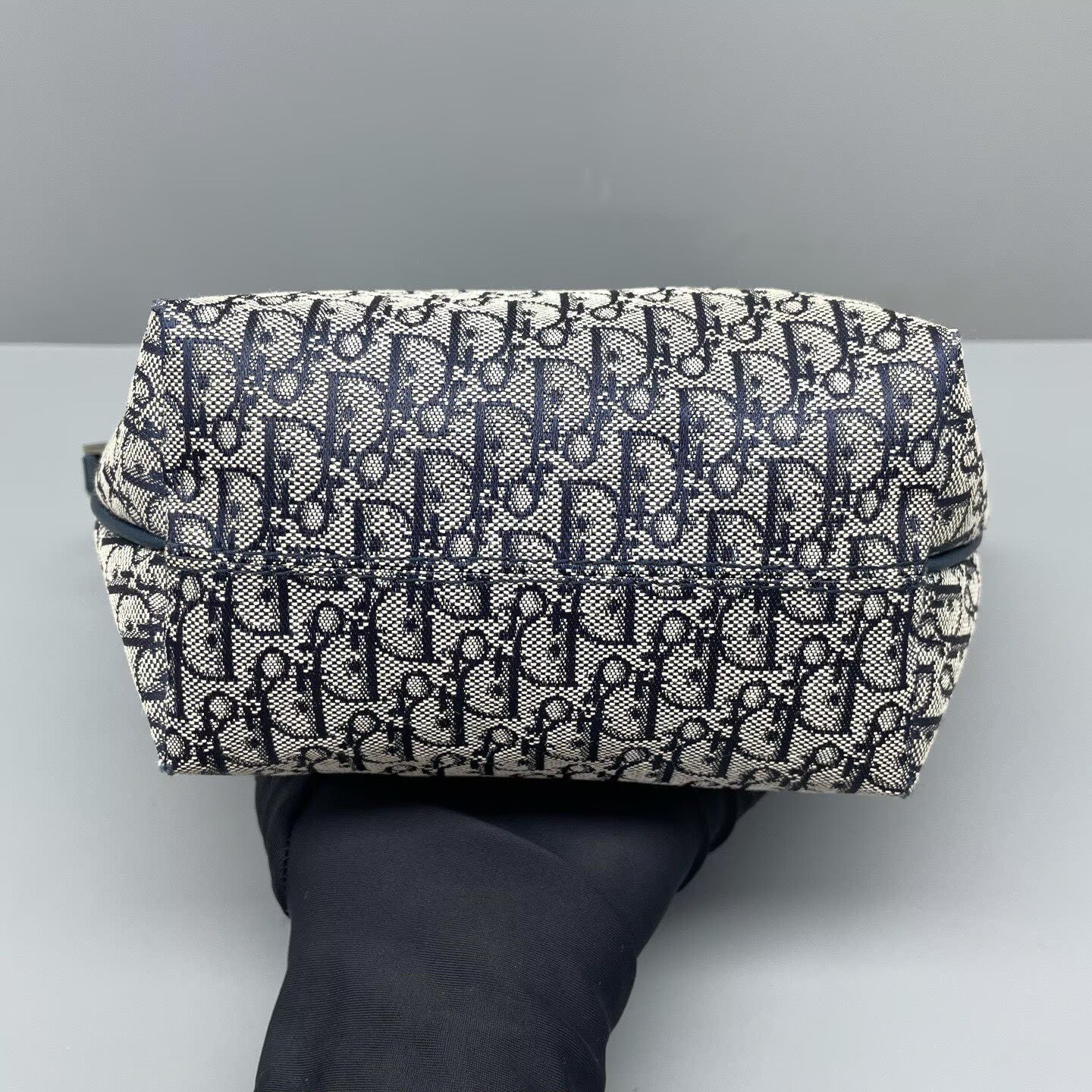 Dior - Other - Canvas with leather trim - Blue and Beige - (mini)