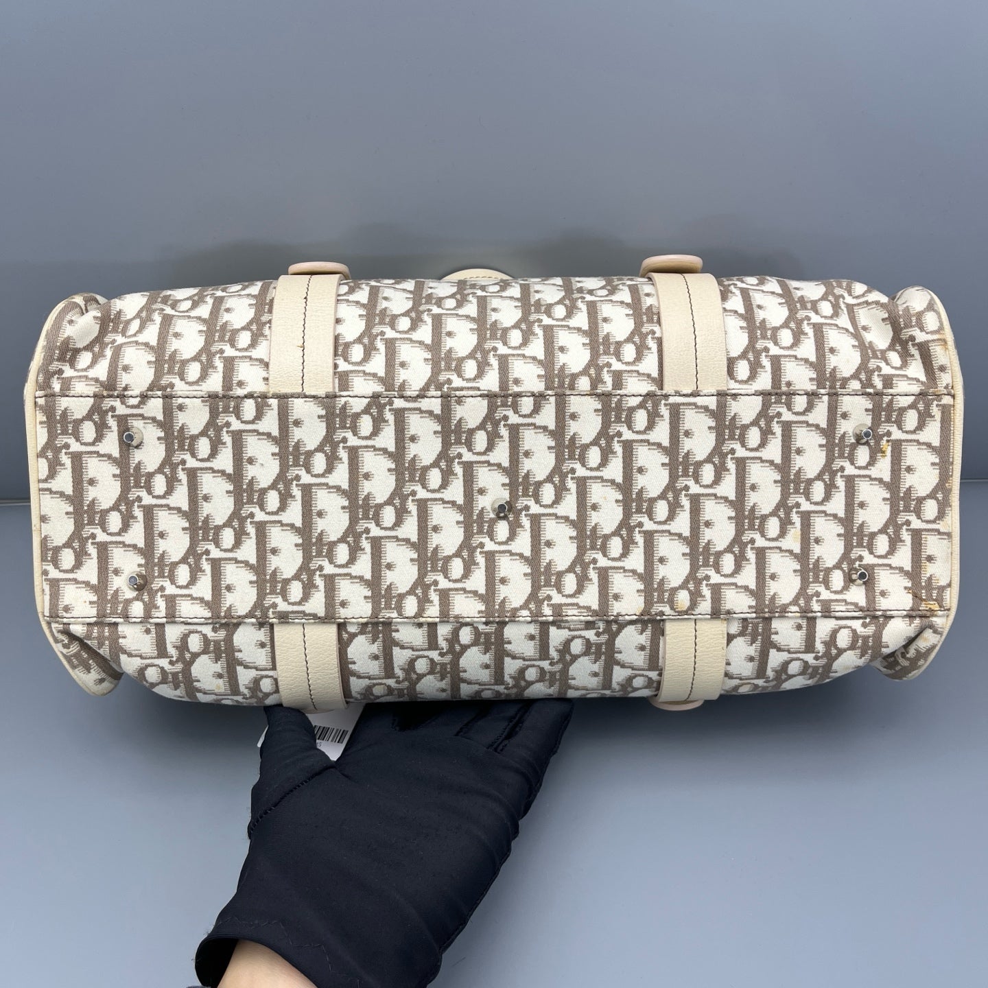 Dior - Papillon - Canvas and Leather - Multicolour - (Medium)
