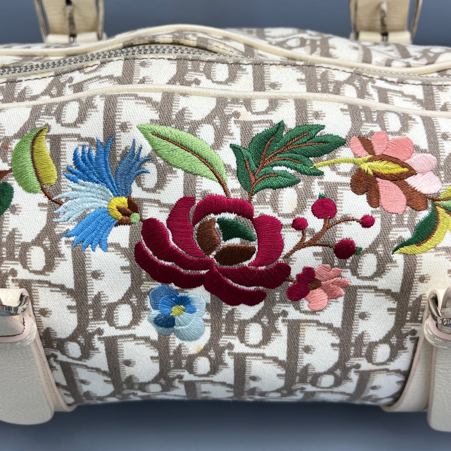 Dior - Papillon - Canvas and Leather - Multicolour - (Medium)