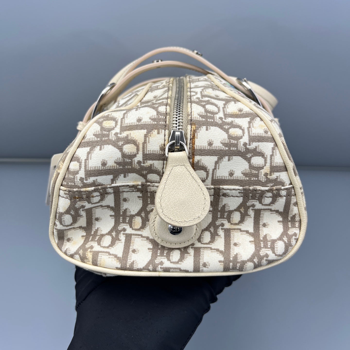 Dior - Papillon - Canvas and Leather - Multicolour - (Medium)
