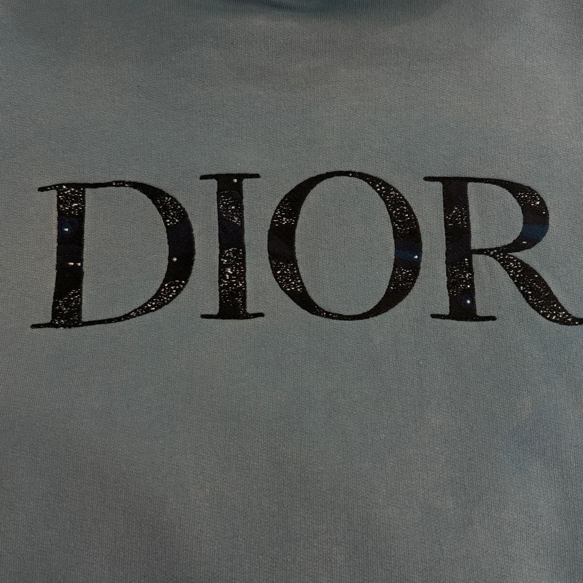 Dior - Peter Doig - Cotton - Blue - (XS)