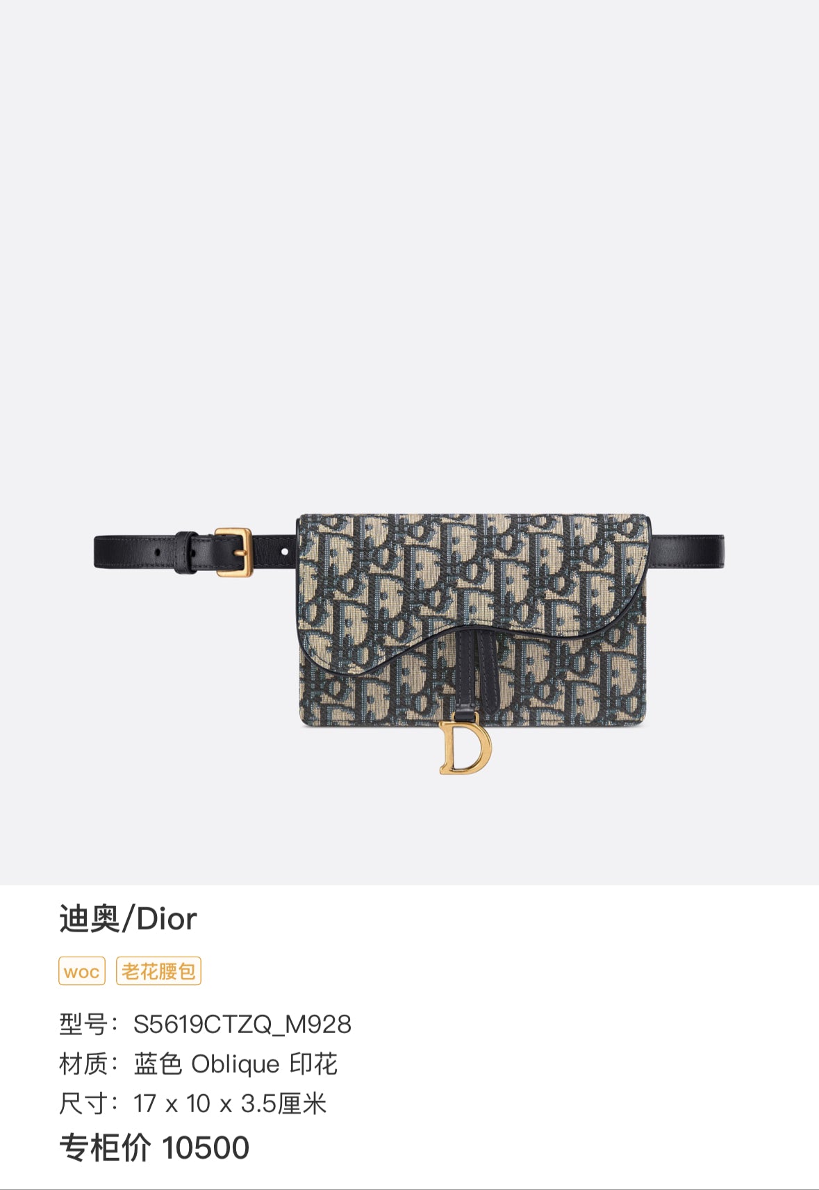 Dior Saddle Cloth Multicolour - view 8