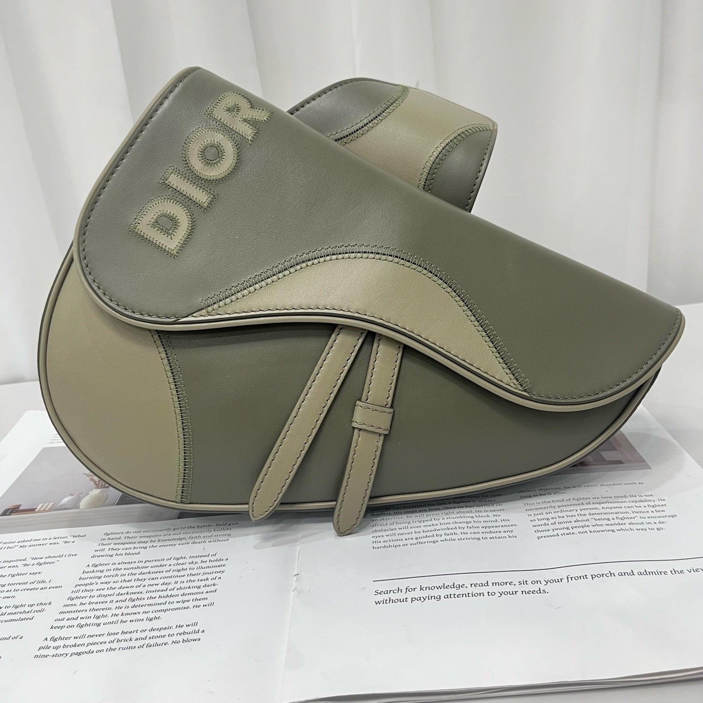 Dior - Saddle Bag - Leather - Green - (Large)