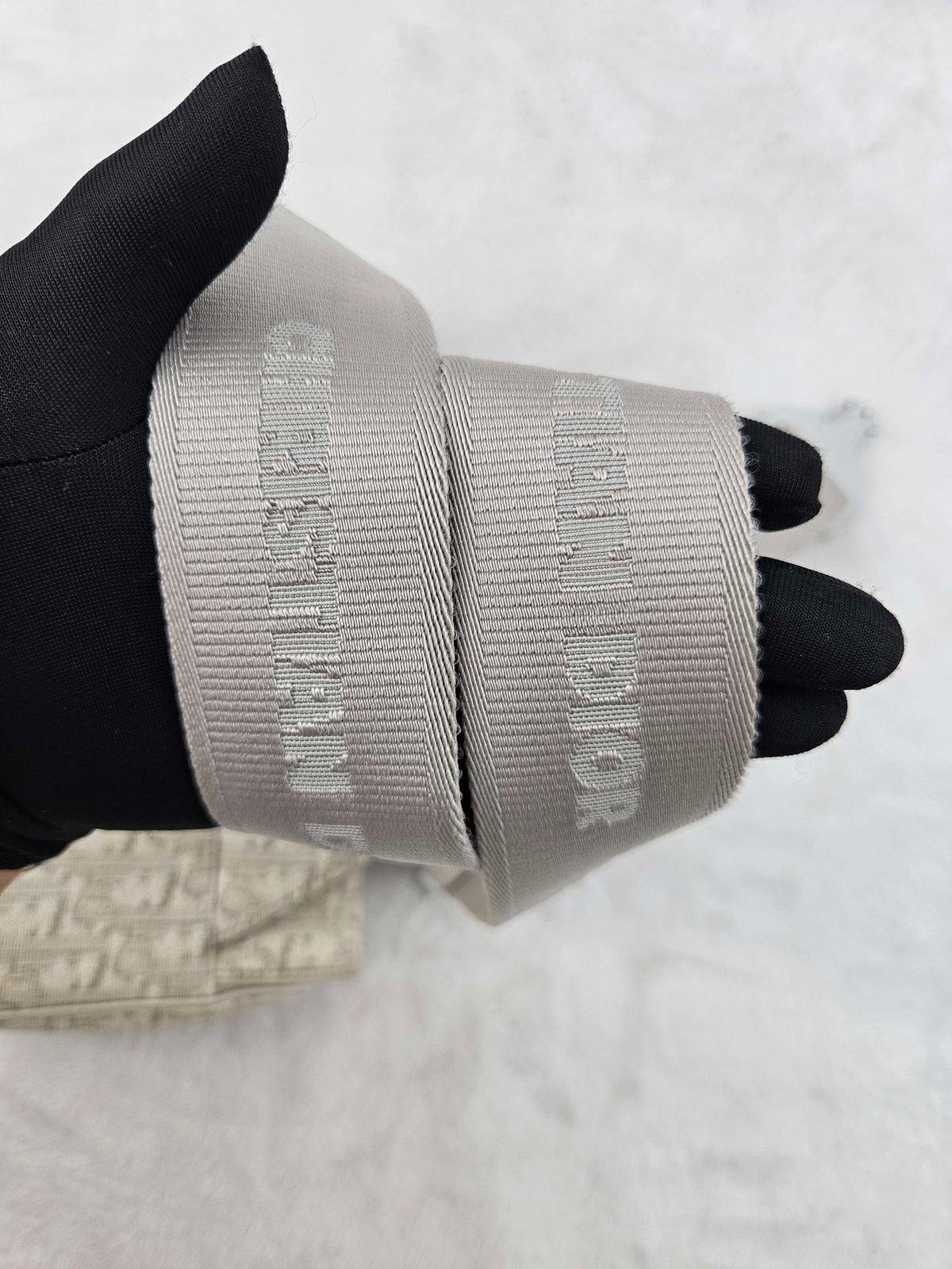 Dior - Saddle - Cloth - Beige