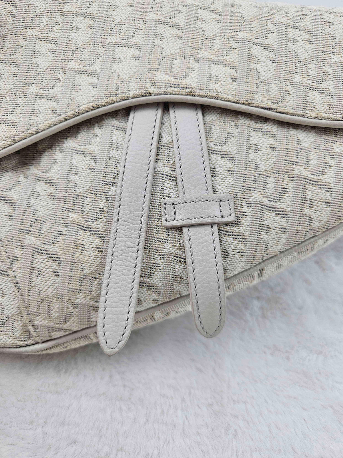 Dior - Saddle - Cloth - Beige