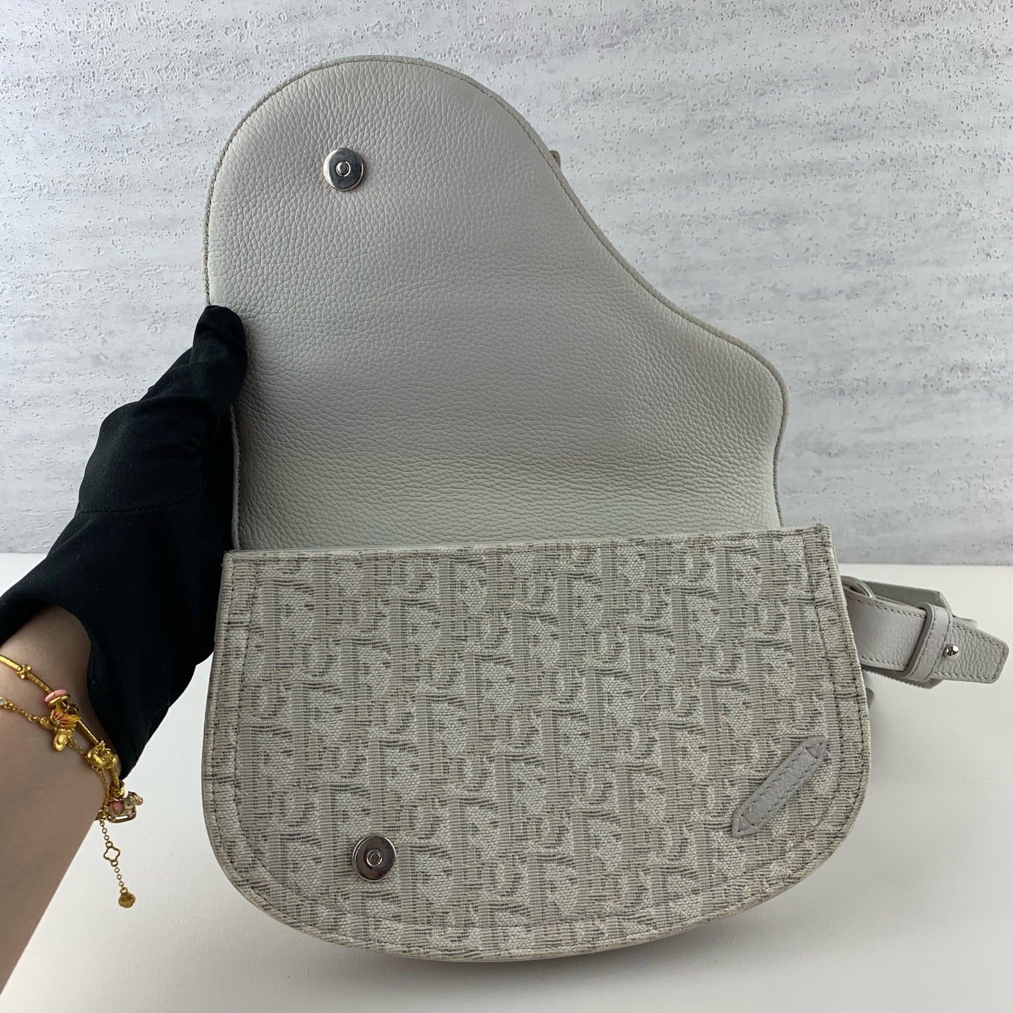 Dior - Saddle - Fabric - Beige - (mini)