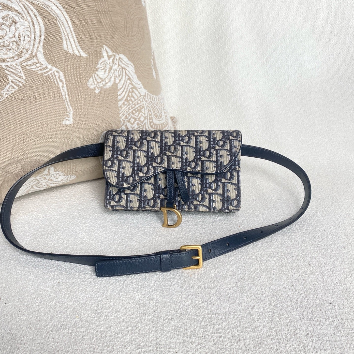 Dior - Saddle WOC Belt Bag - Embroidered canvas with leather trim - Blue with Gold-Tone Hardware - (mini)