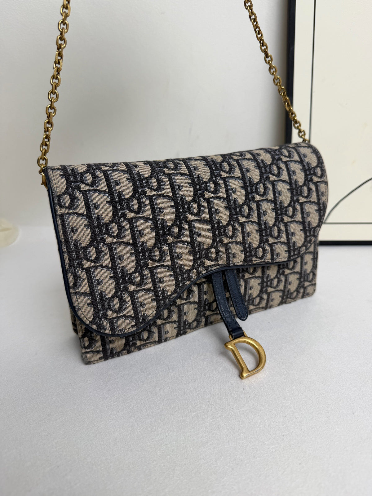 Dior - Saddle WOC - Cloth - Multicolour - (mini)