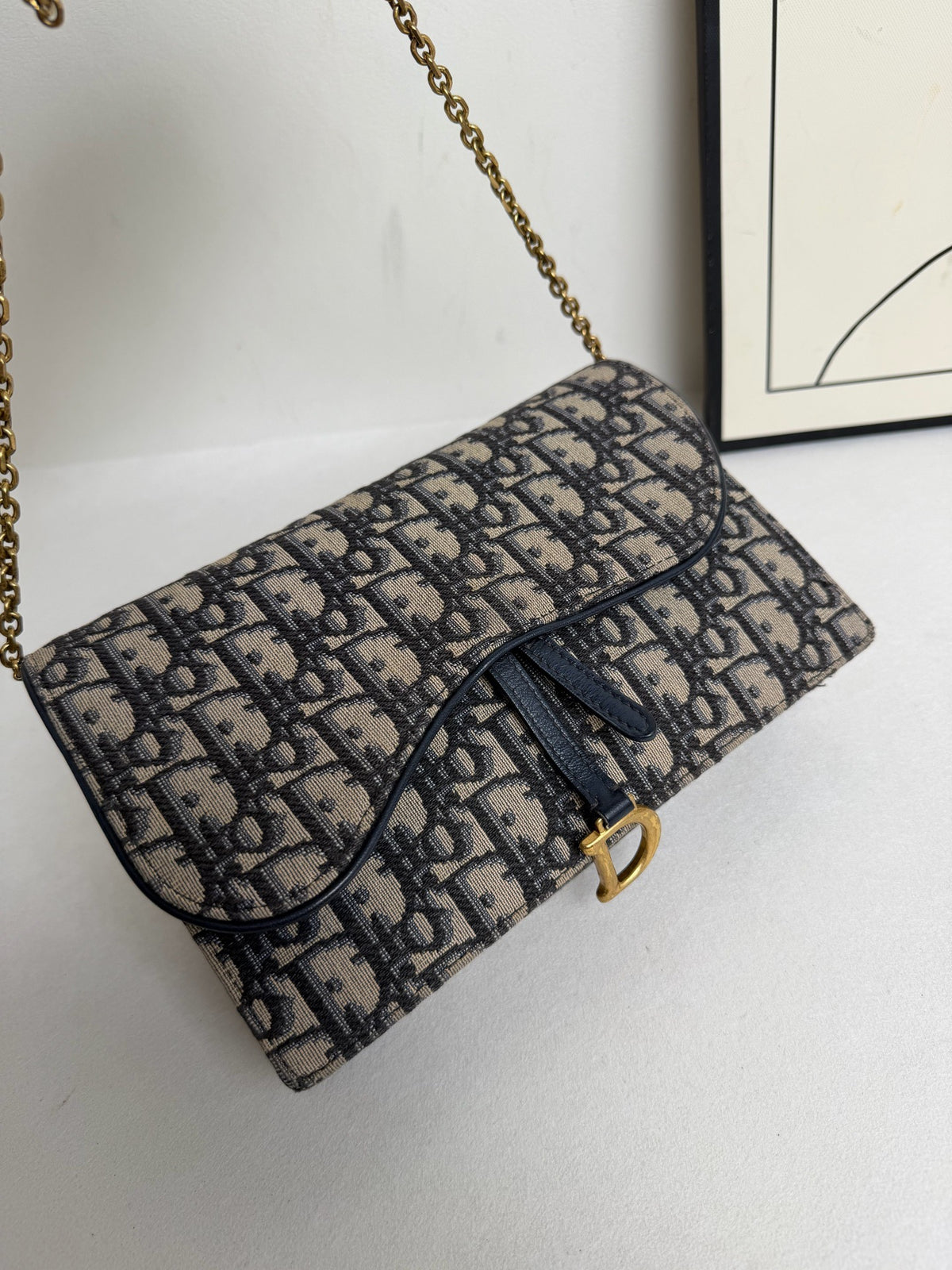 Dior - Saddle WOC - Cloth - Multicolour - (mini)