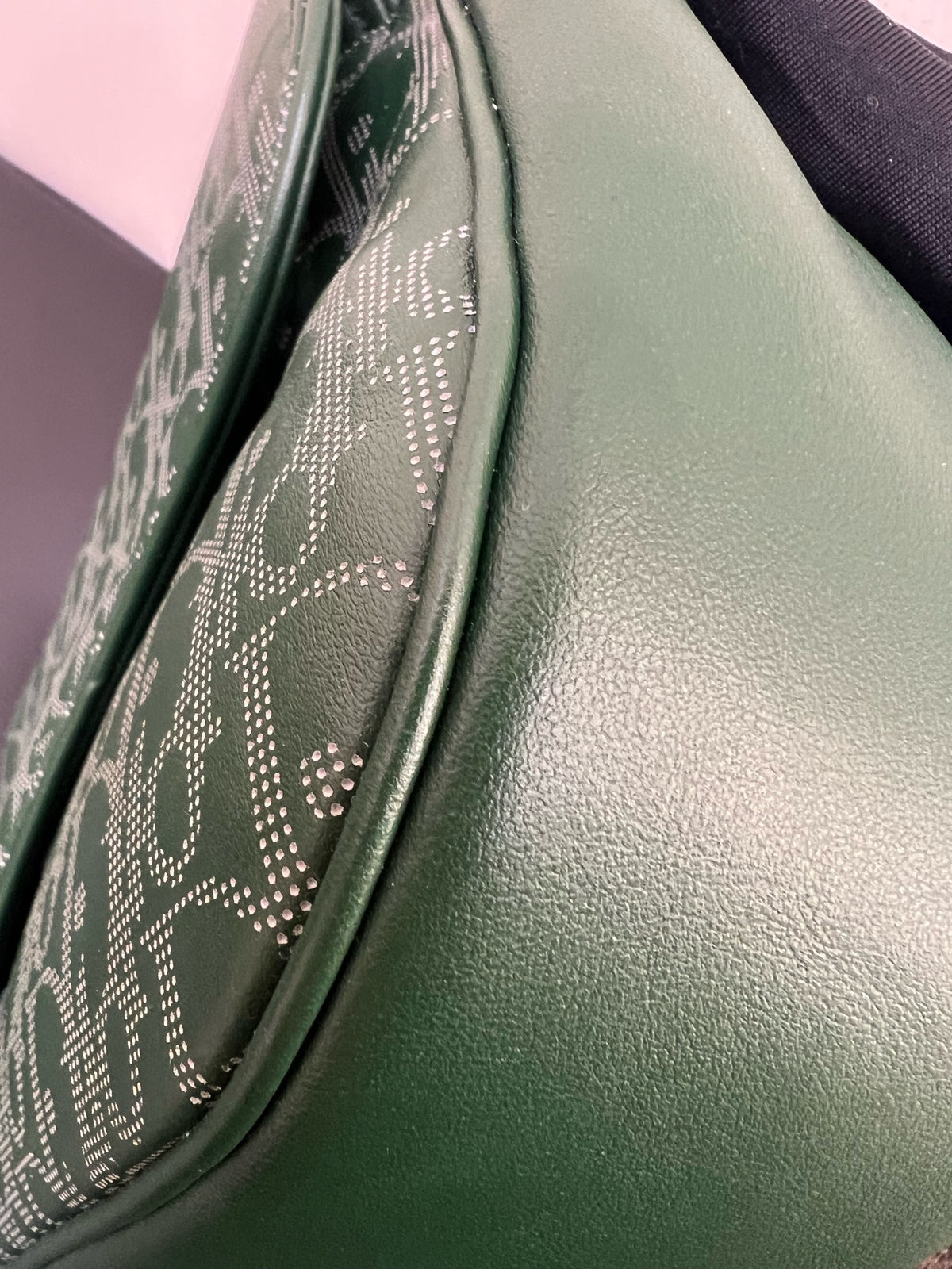 Dior - World Tour - Leather - Green