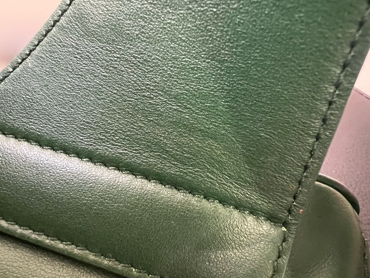 Dior - World Tour - Leather - Green
