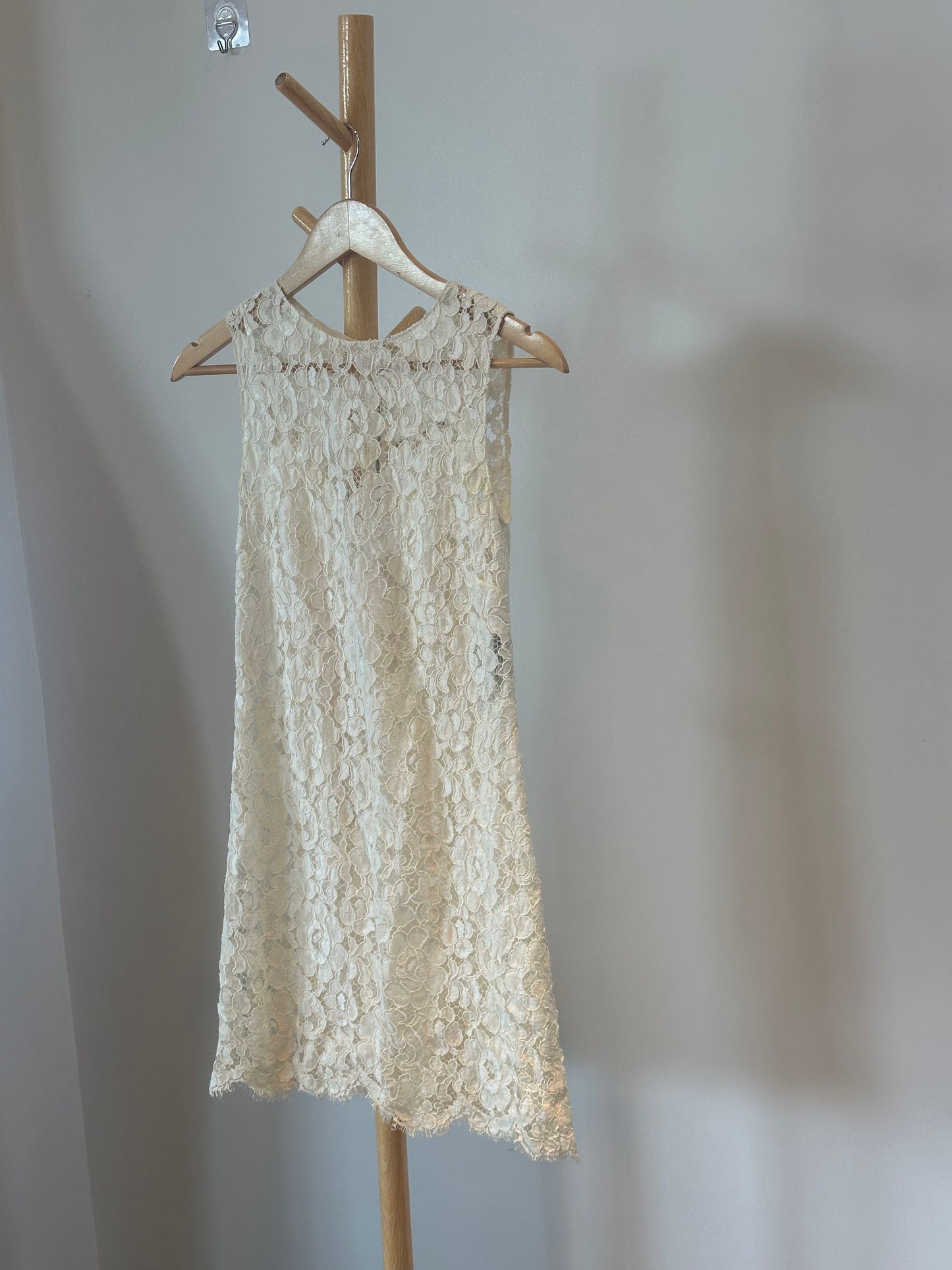 Dolce & Gabbana - Other - Cotton - Beige - (38)