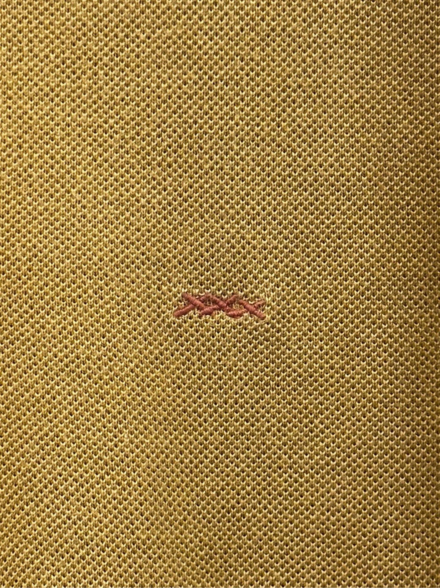 Ermenegildo Zegna - Couture XXX - Cotton - Yellow - (48)