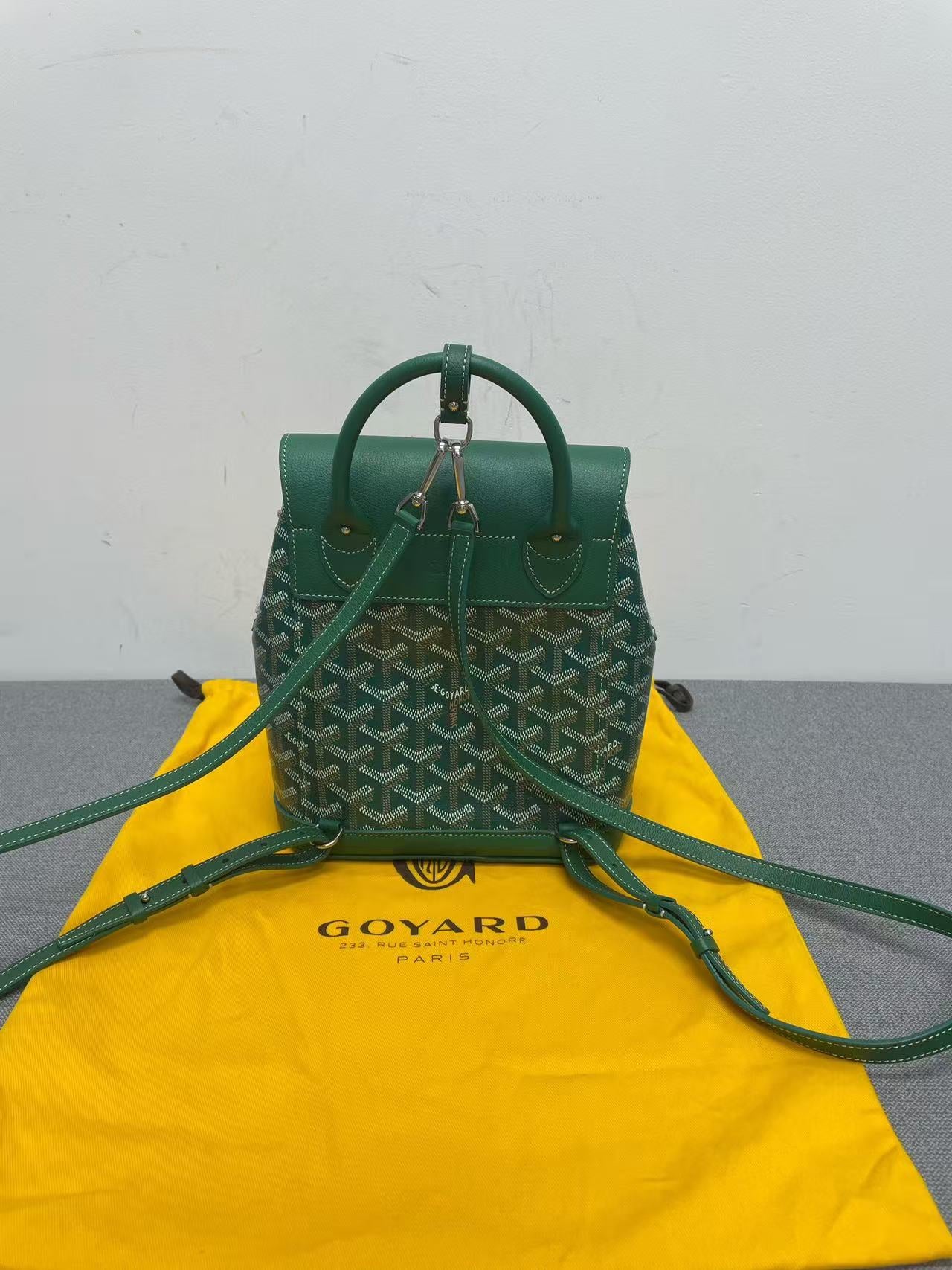 Goyard - Alpin Mini Backpack - Goyardine canvas and leather - Green - (mini)