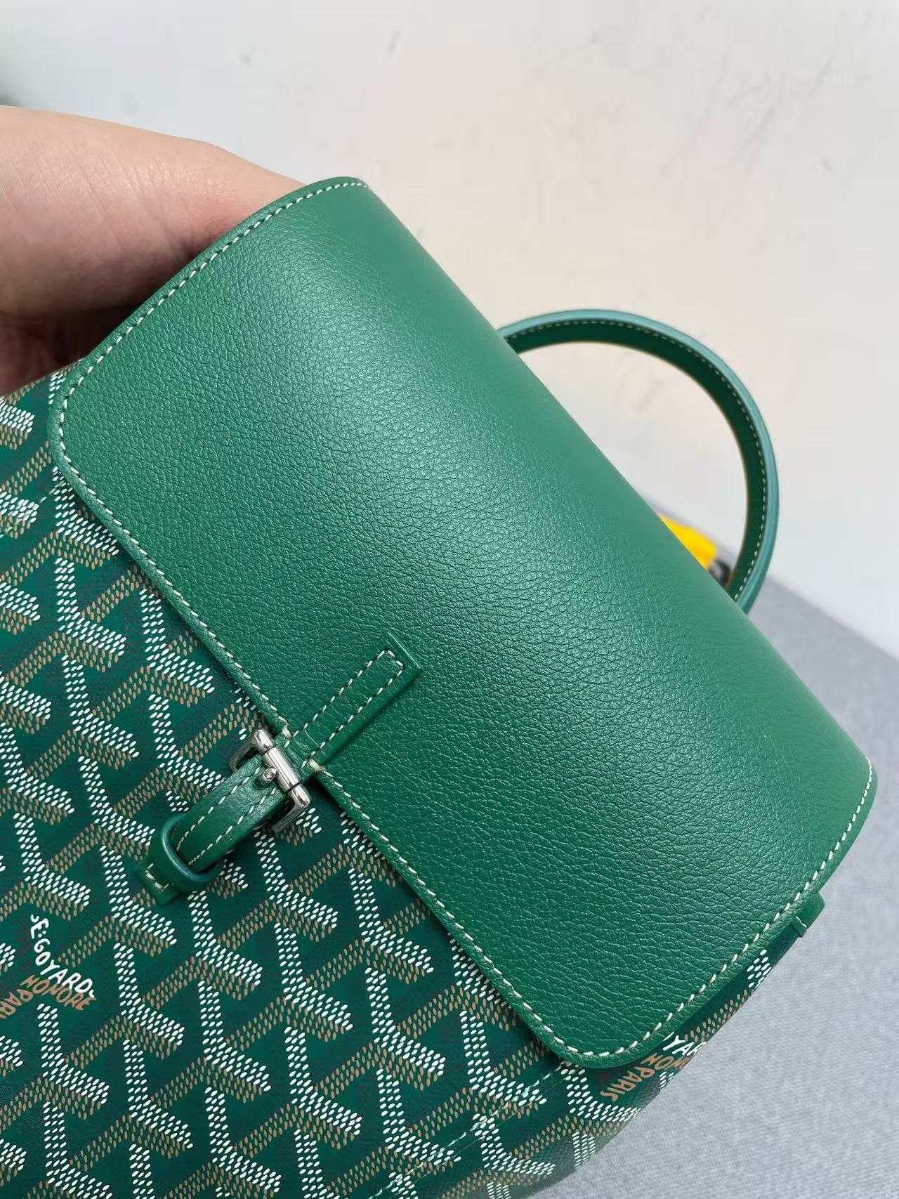 Goyard - Alpin Mini Backpack - Goyardine canvas and leather - Green - (mini)