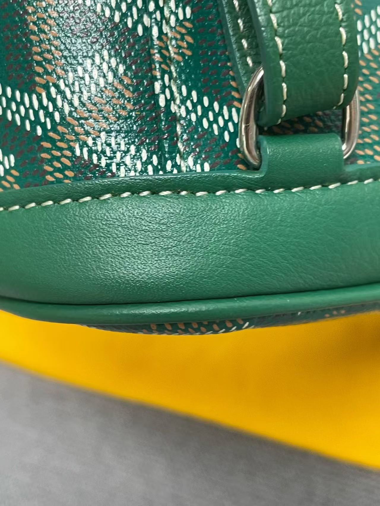Goyard - Alpin Mini Backpack - Goyardine canvas and leather - Green - (mini)