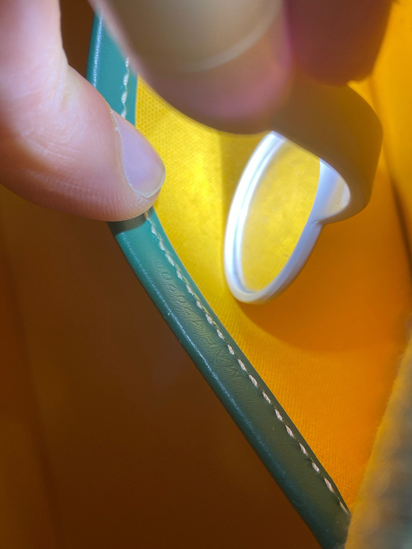 Goyard - Other - Cloth - Green - (small)