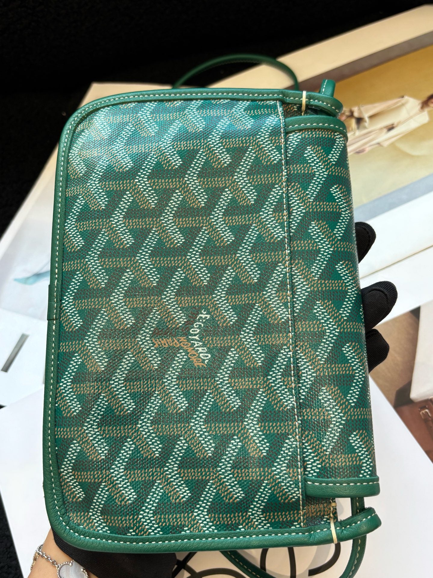 Goyard - Plumet - Cloth - Green - (mini)