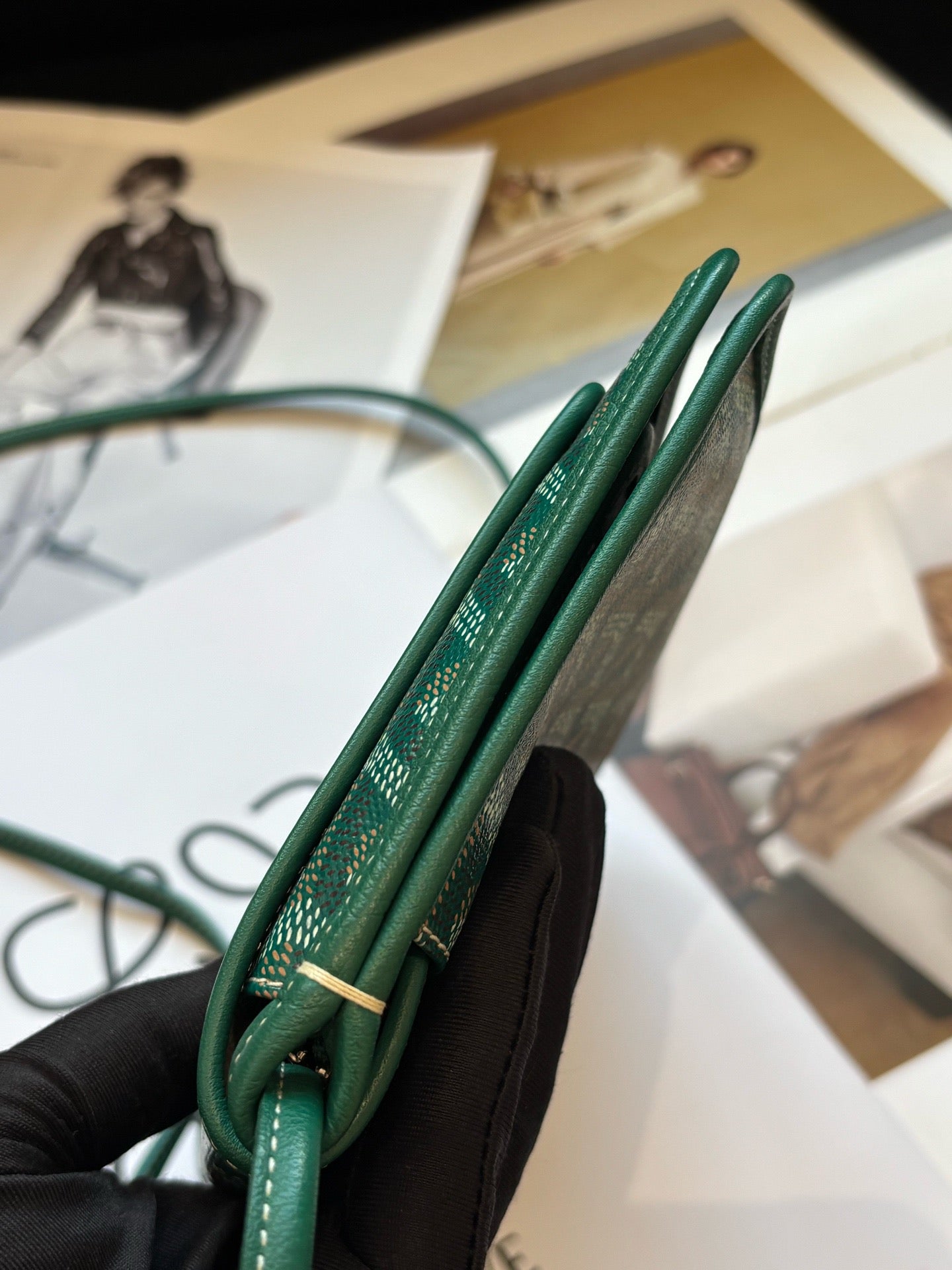 Goyard - Plumet - Cloth - Green - (mini)