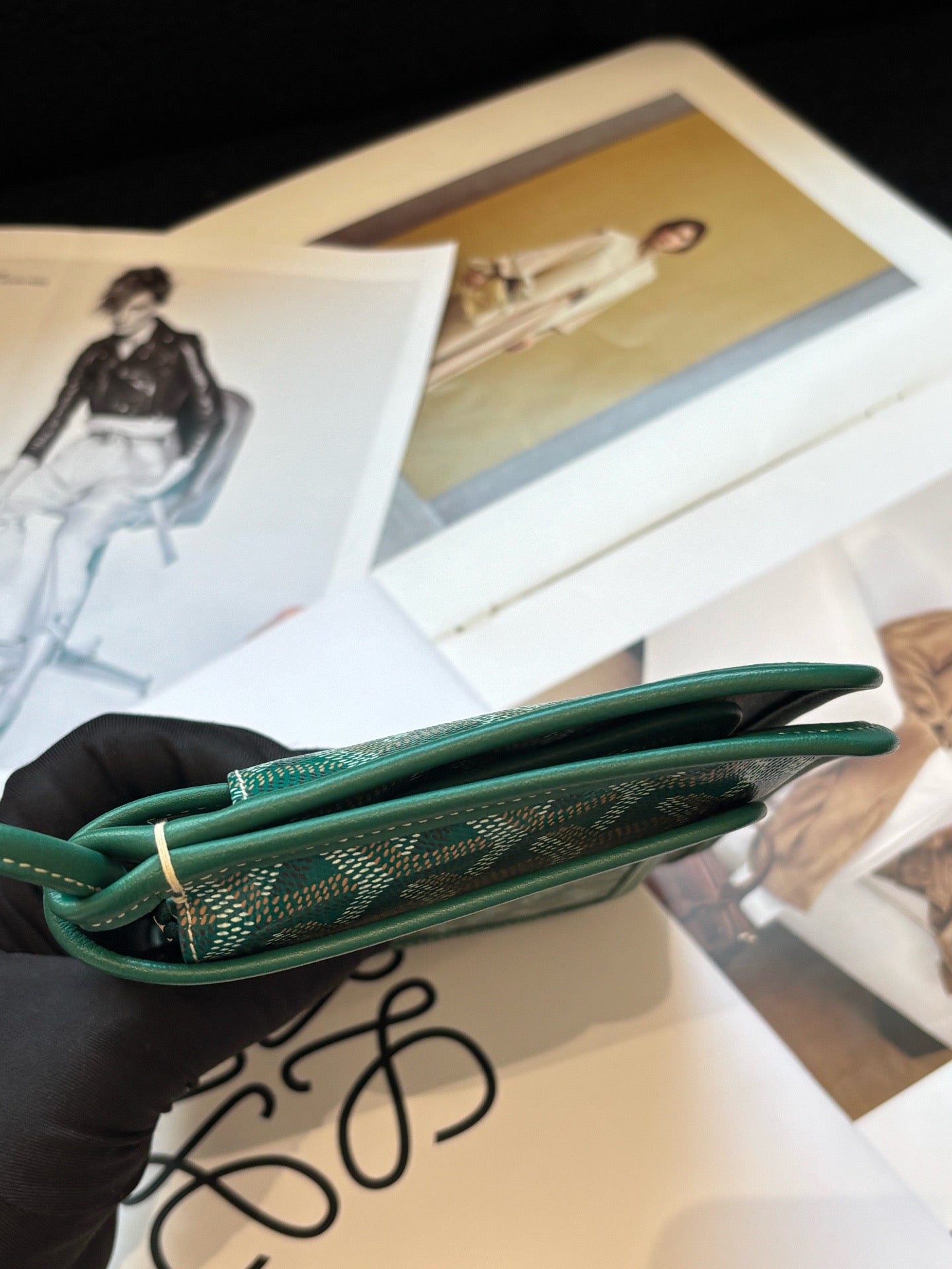 Goyard - Plumet - Cloth - Green - (mini)