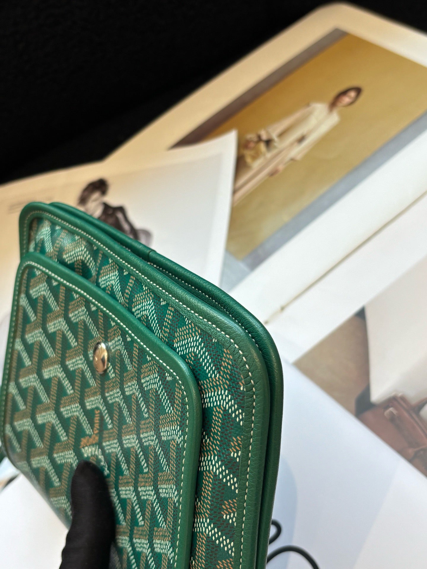 Goyard - Plumet - Cloth - Green - (mini)