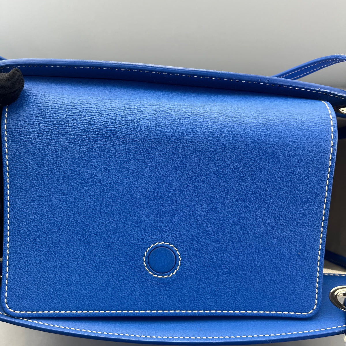 Goyard - Tote Bag - Cloth - Blue - (medium)