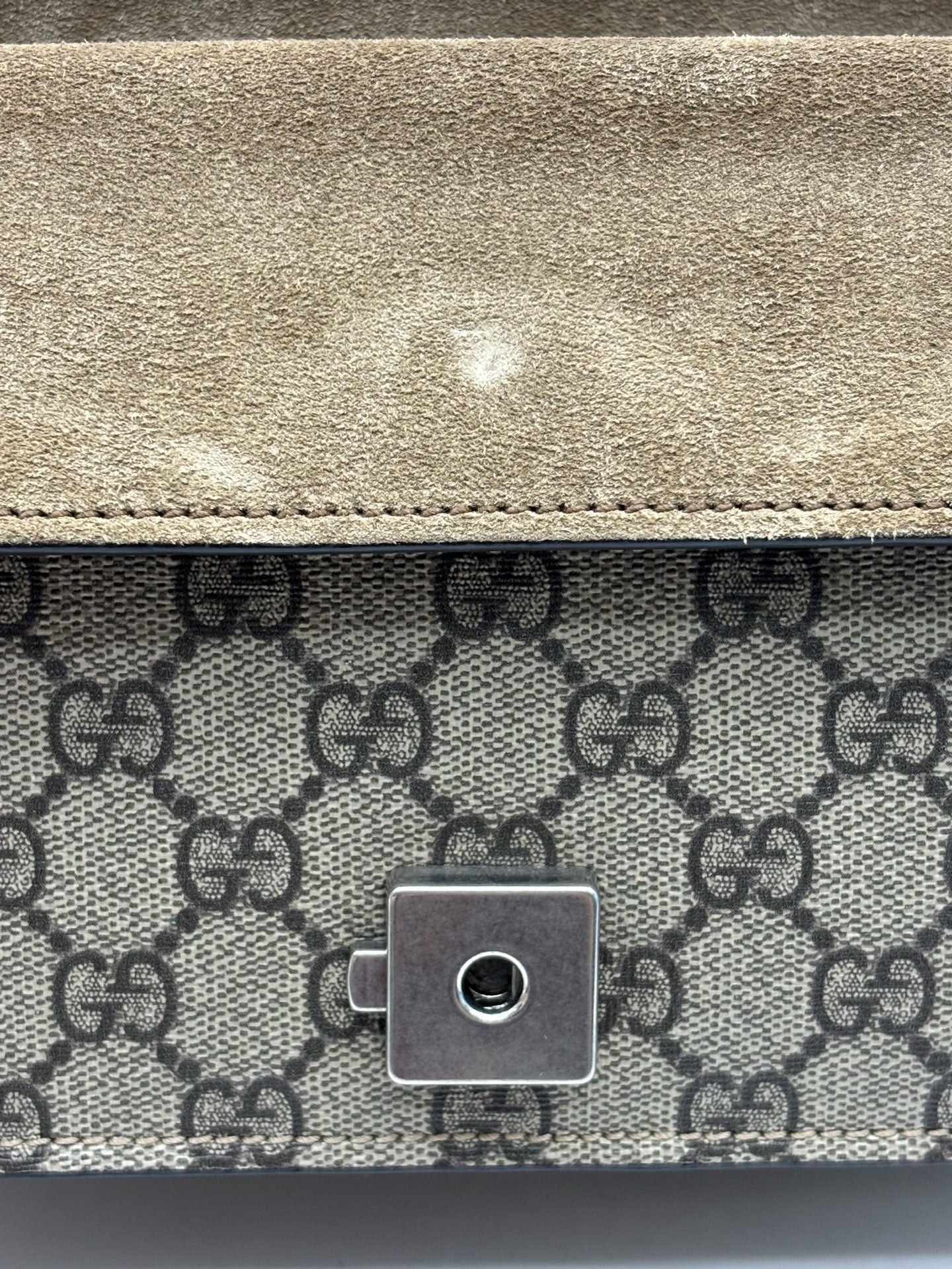 Gucci - Dionysus - Cloth - Beige - (small)