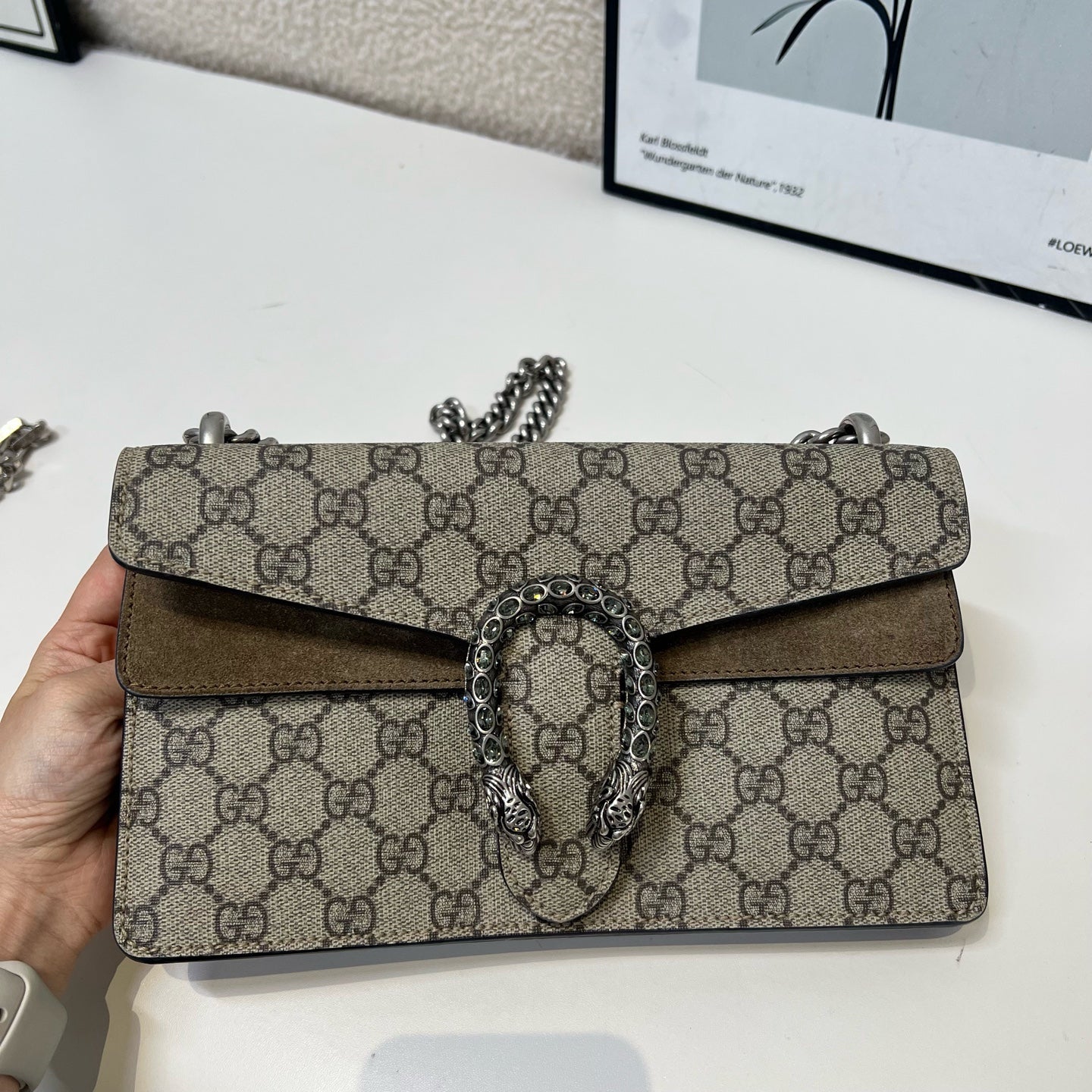 Gucci - Dionysus - Cloth - Brown - (medium)