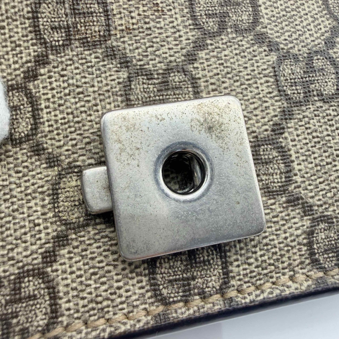 Gucci - Dionysus - Cloth - Camel - (medium)