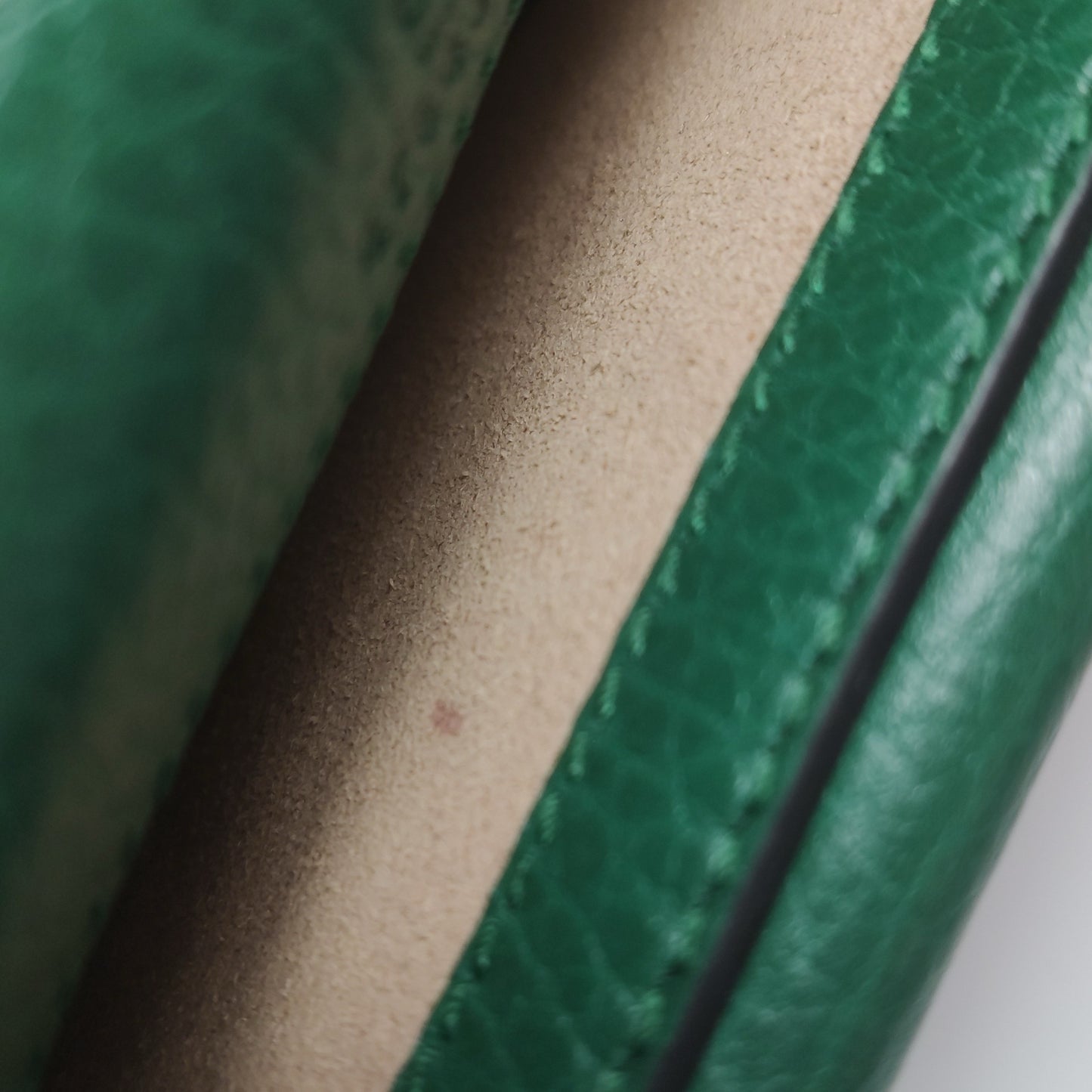 Gucci - Dionysus - Leather - Green - (mini)