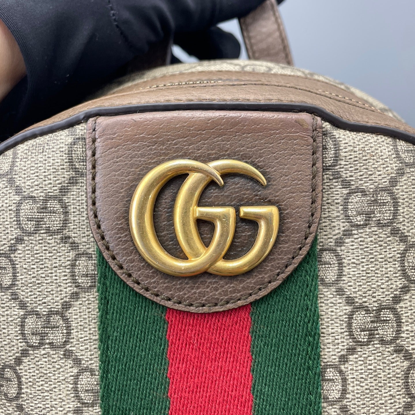 Gucci - Ophidia - Cloth - Brown