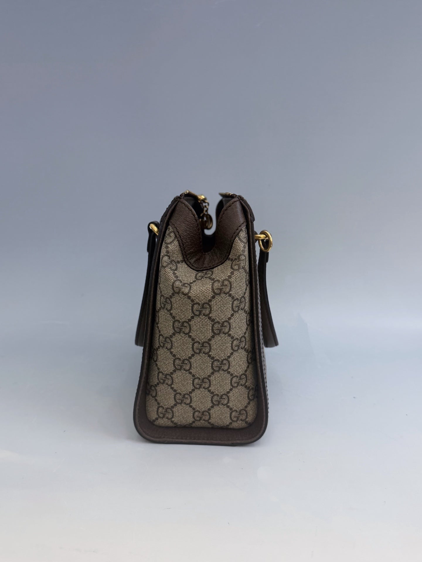 Gucci - Ophidia - Cloth - Brown - (medium)
