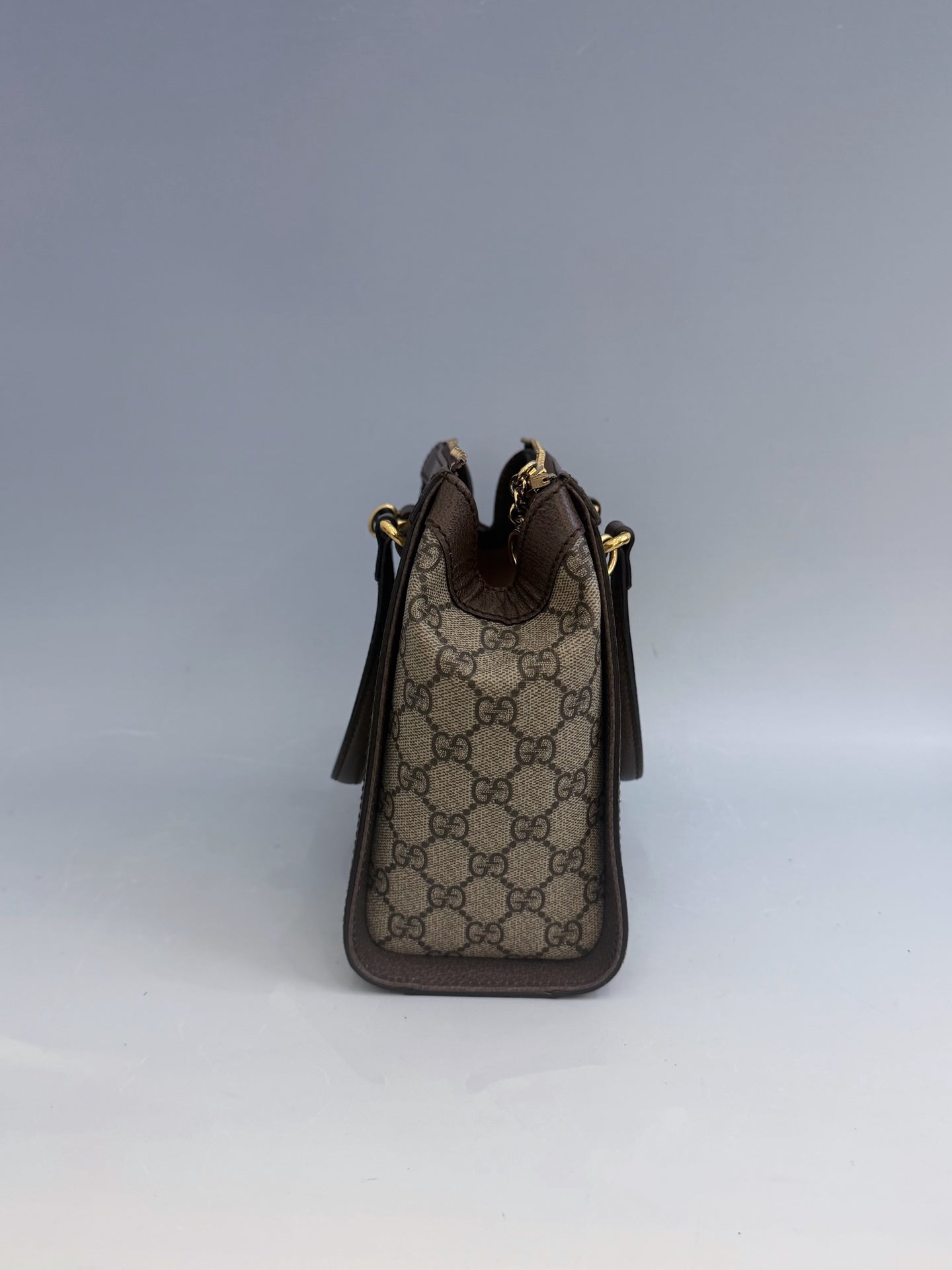 Gucci - Ophidia - Cloth - Brown - (medium)