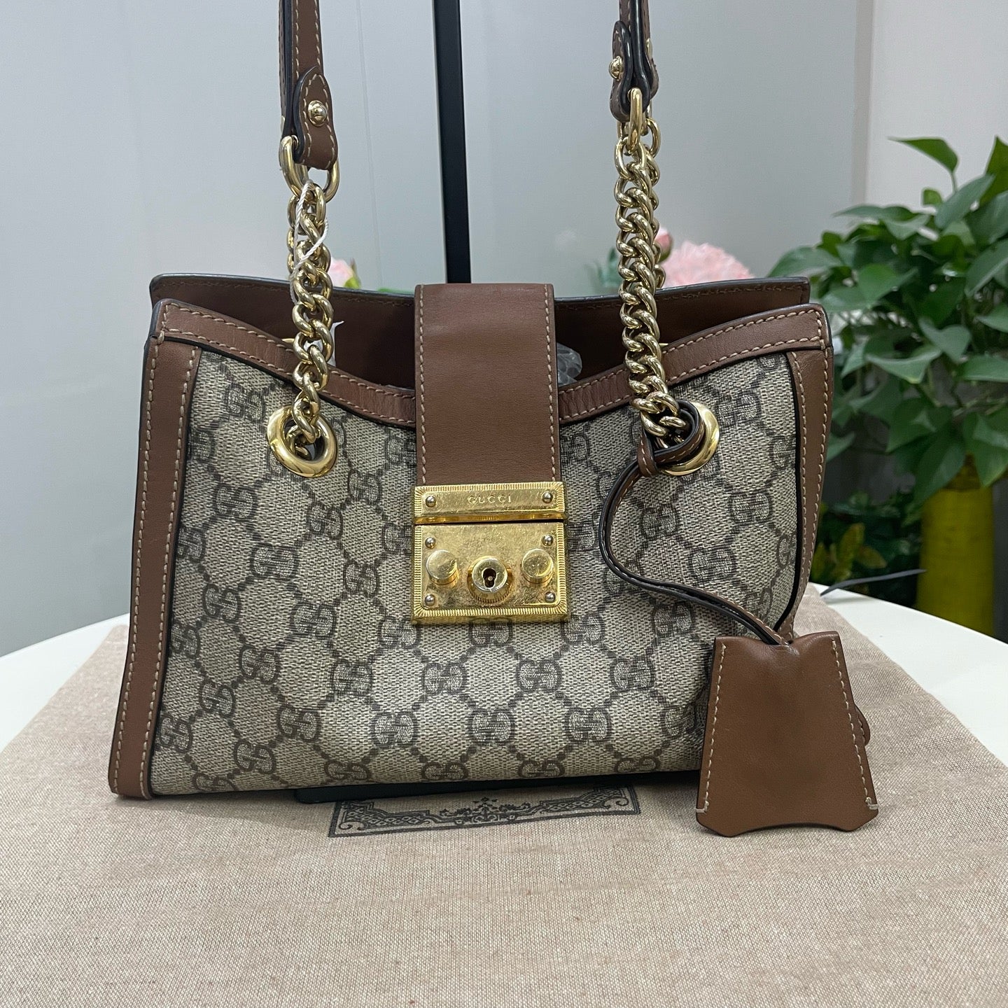 Gucci - Other - Cloth - Brown - (small)
