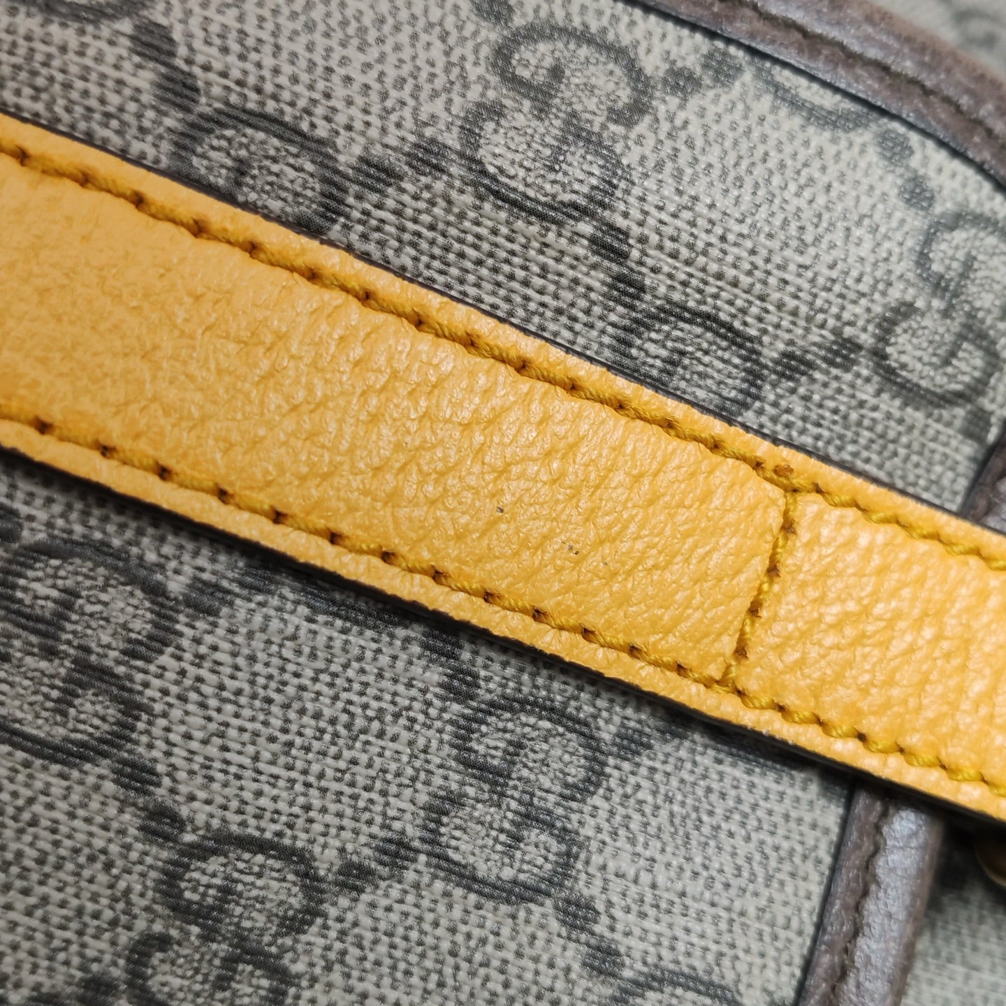 Gucci - Other - Cloth - Multicolour - (medium)