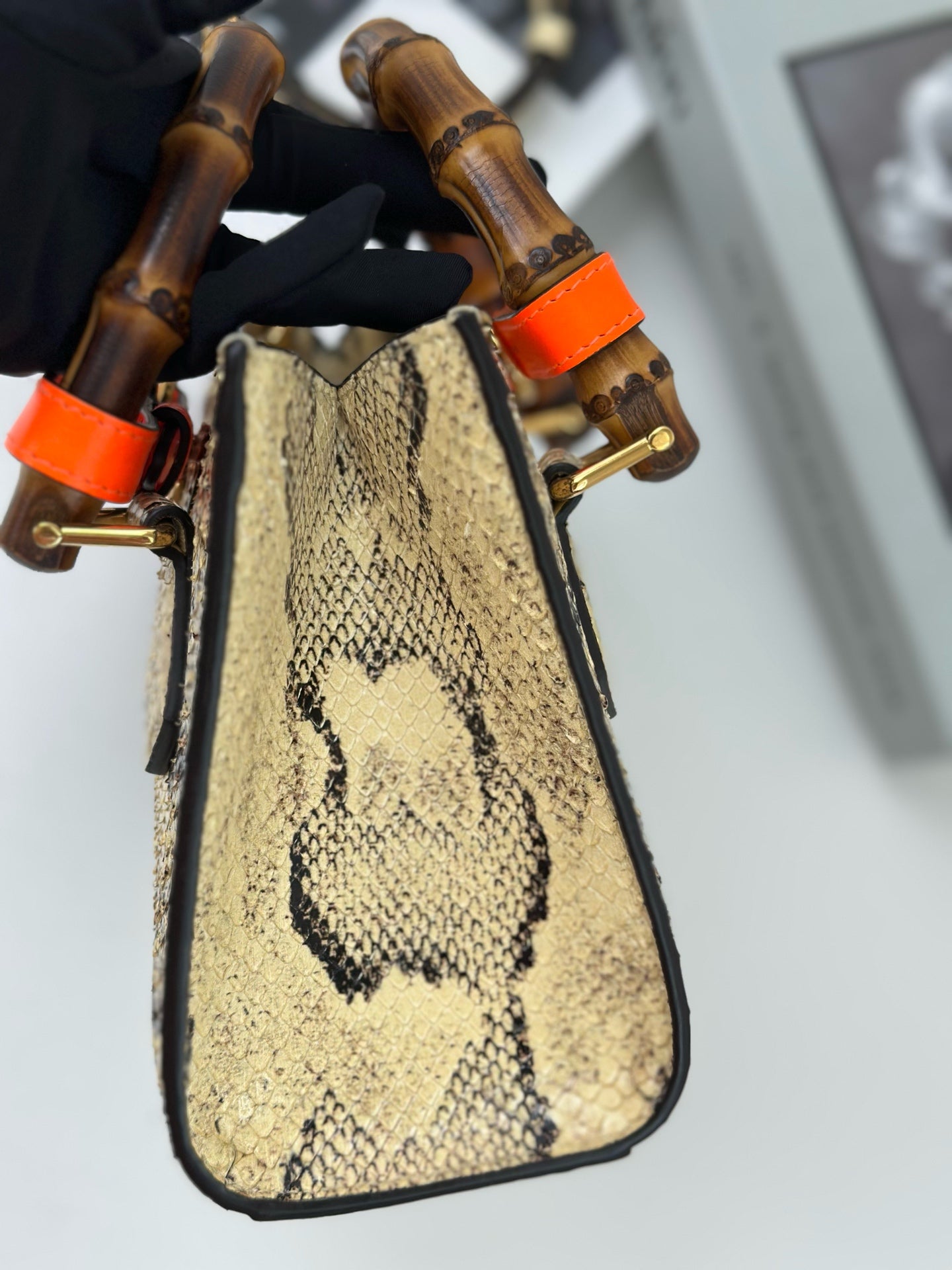Gucci - Other - Exotic leathers - Python - Multicolour - (mini)