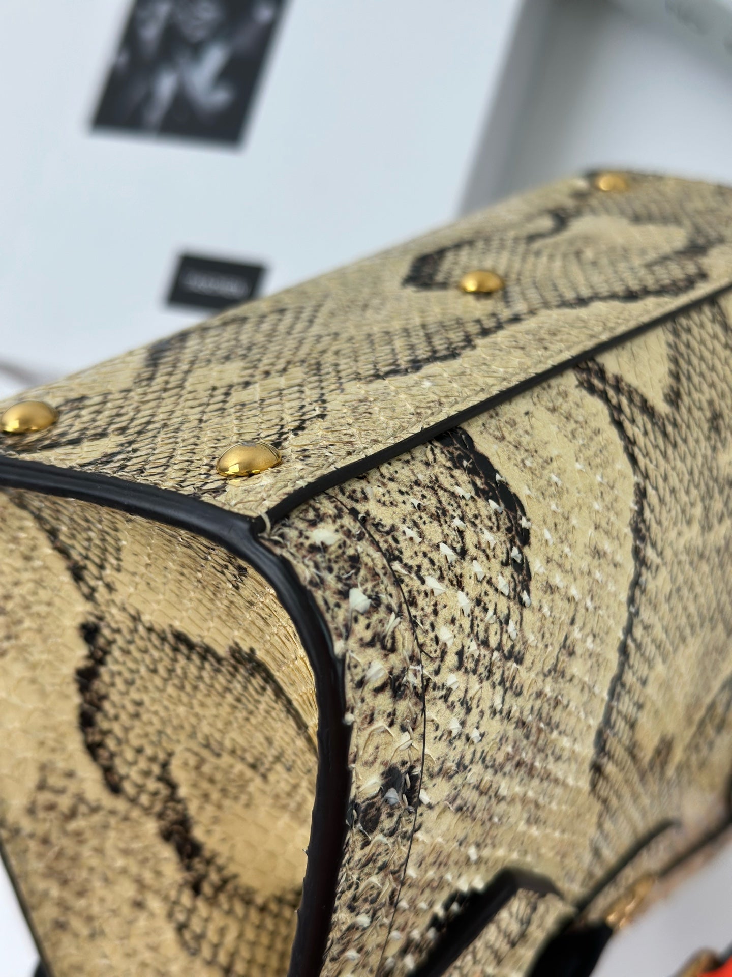 Gucci - Other - Exotic leathers - Python - Multicolour - (mini)
