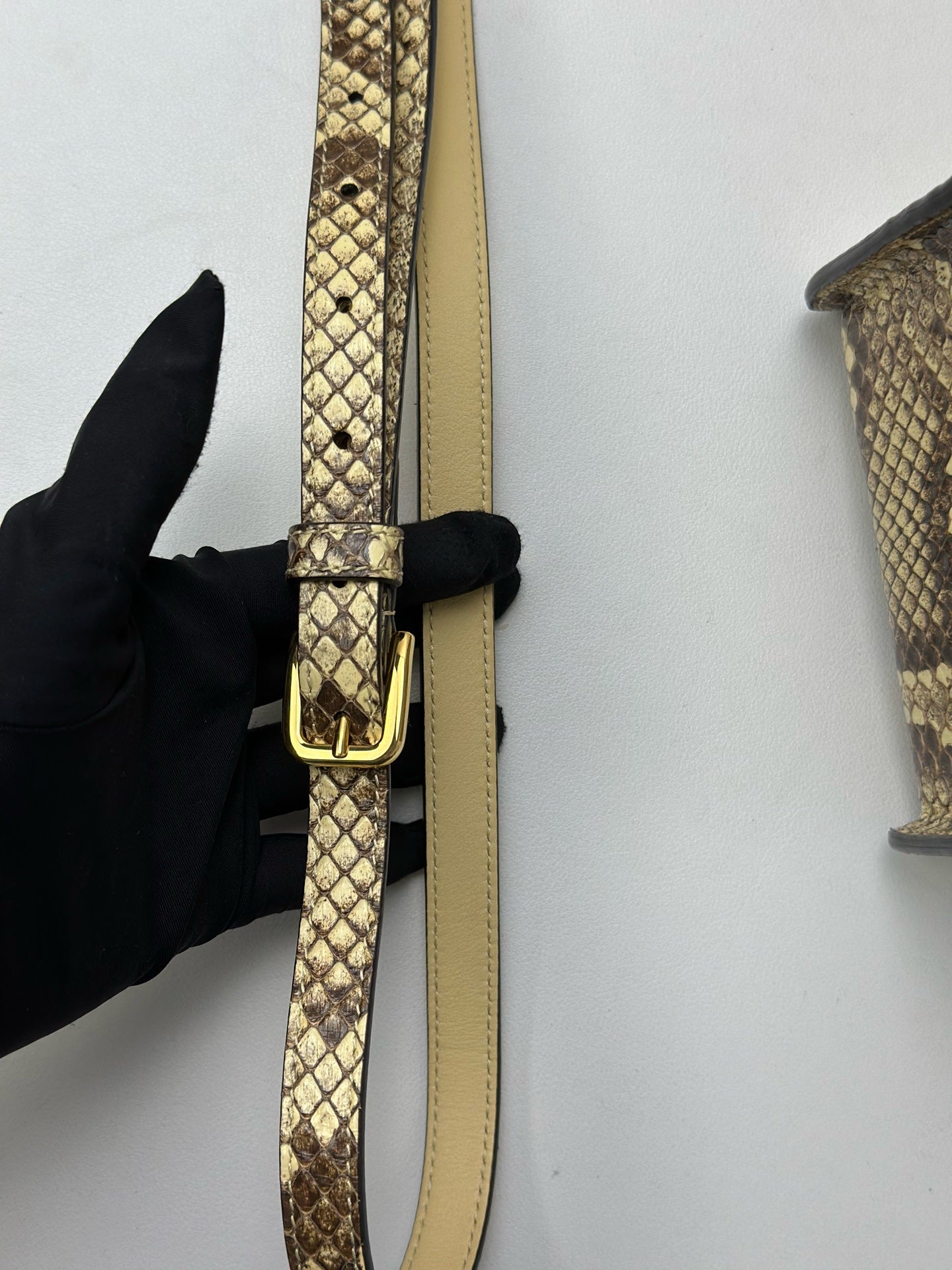 Gucci - Other - Exotic leathers - Python - Multicolour - (mini)