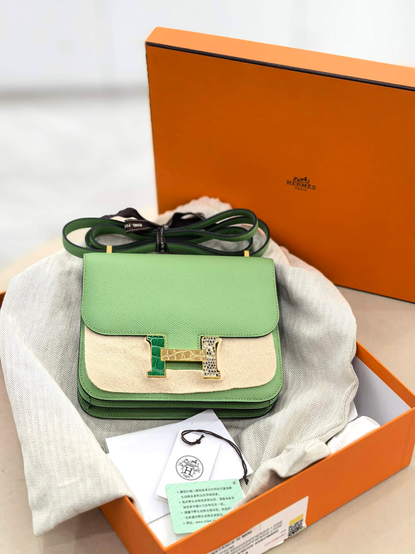 Hermès - Constance - Exotic leathers - Crocodile - Green - (mini)