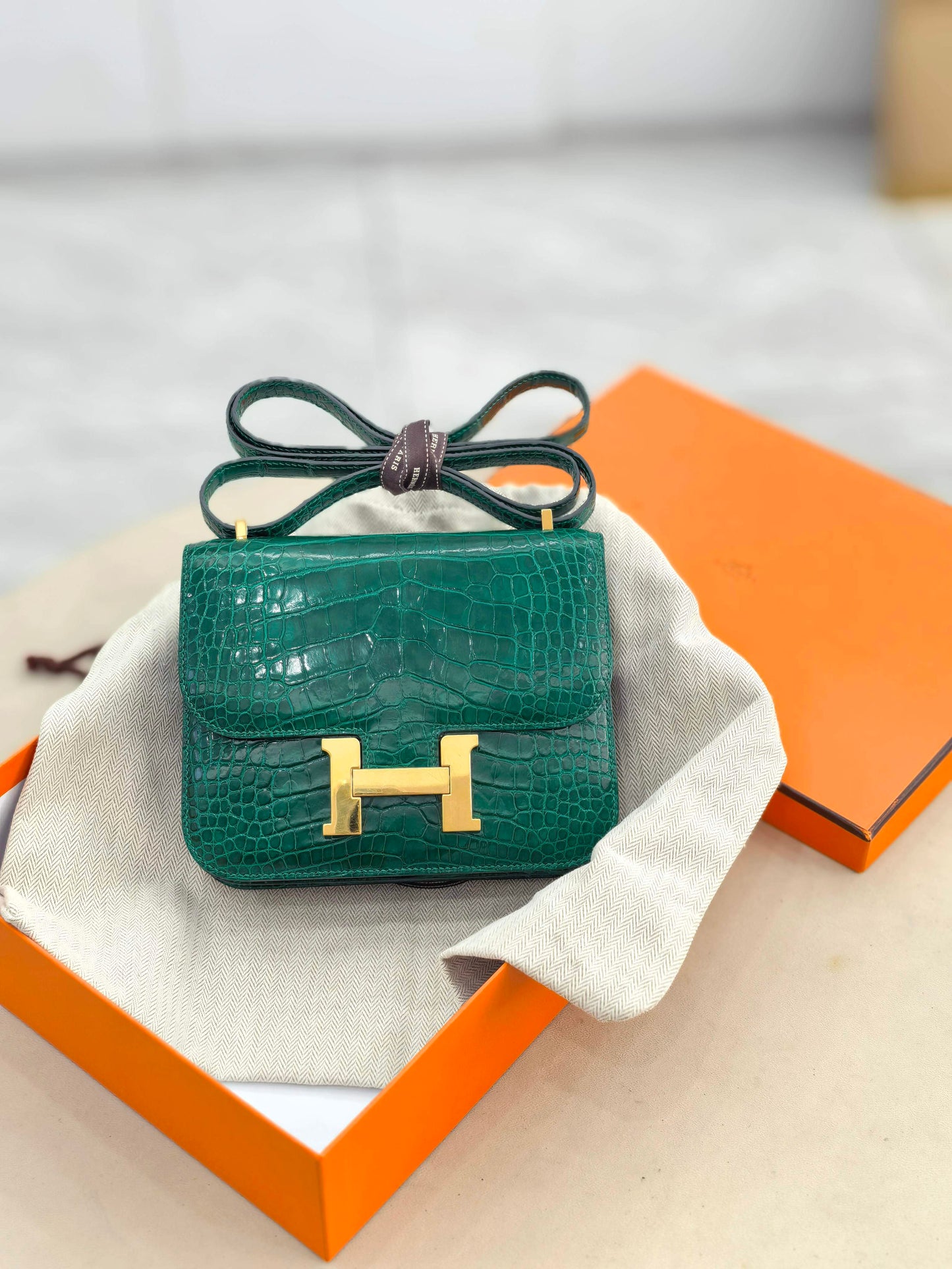 Hermès - Constance - Exotic leathers - Crocodile - Green - (mini)