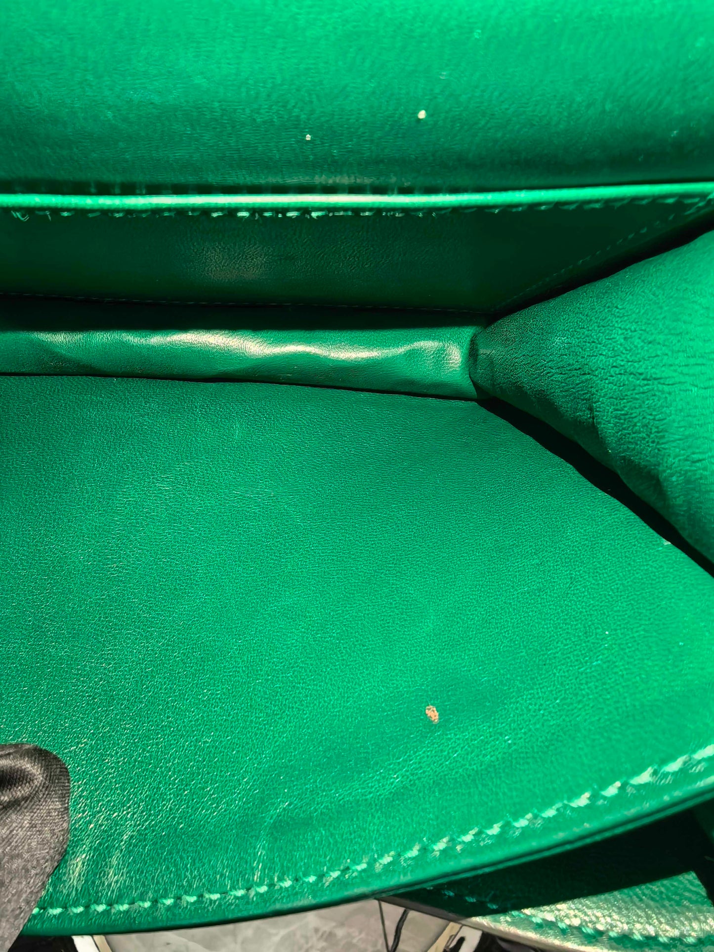Hermès - Constance - Exotic leathers - Crocodile - Green - (mini)