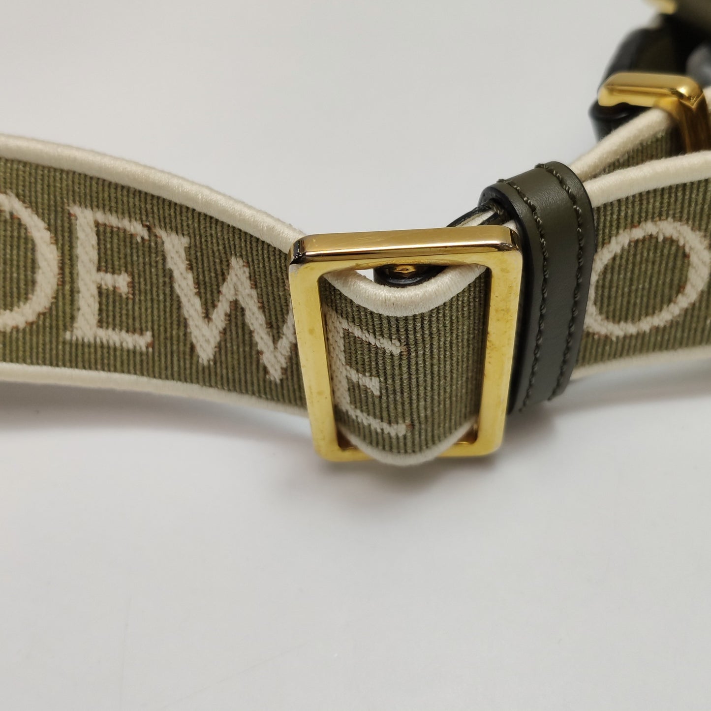 Loewe - Gate - Leather - Green - (mini)