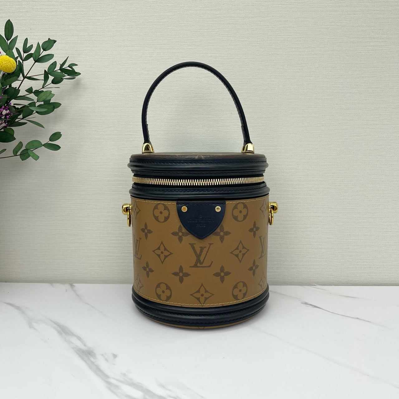 Louis Vuitton - Cannes - Leather - Brown - (mini)