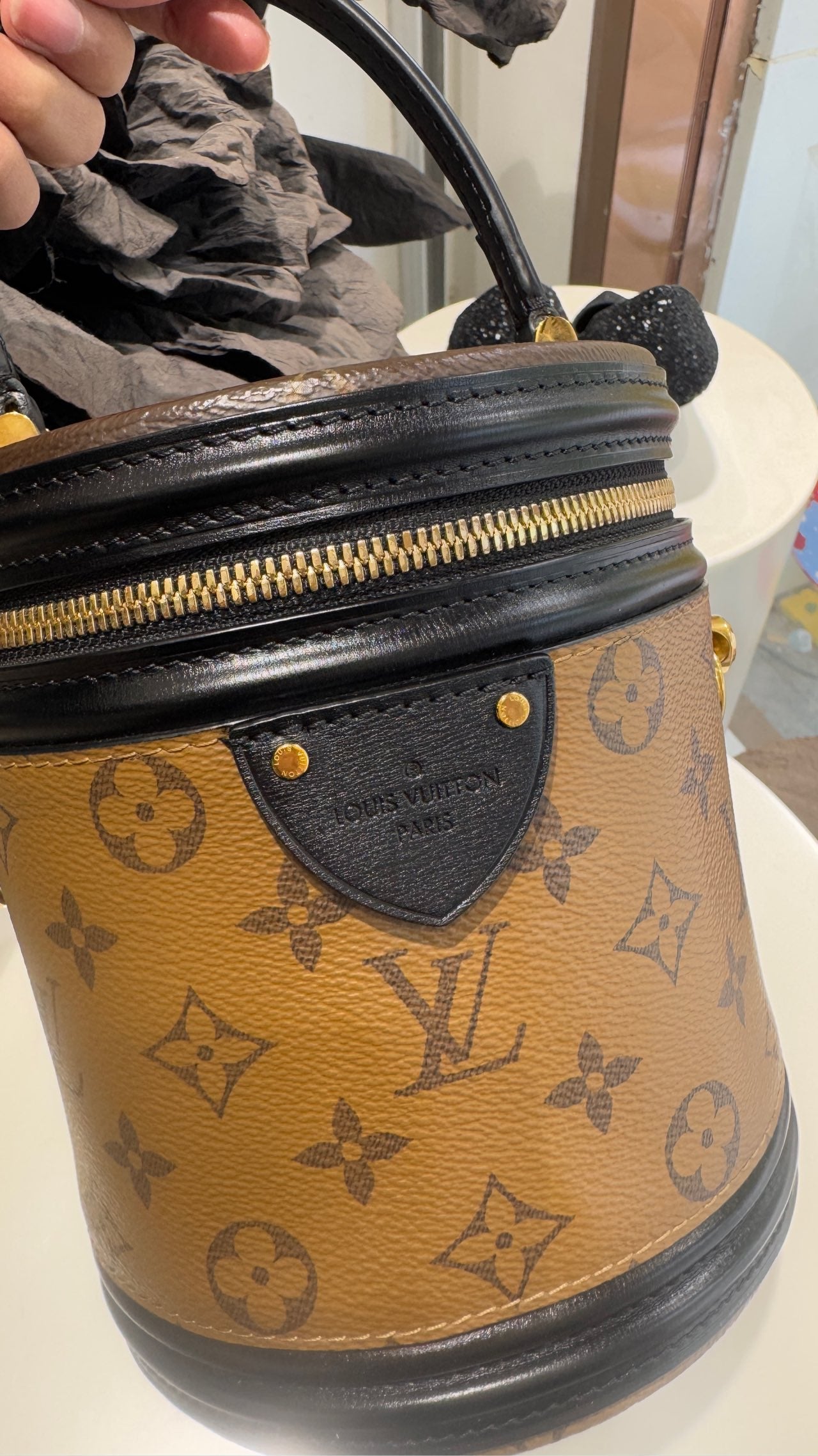 Louis Vuitton - Cannes - Leather - Brown - (mini)