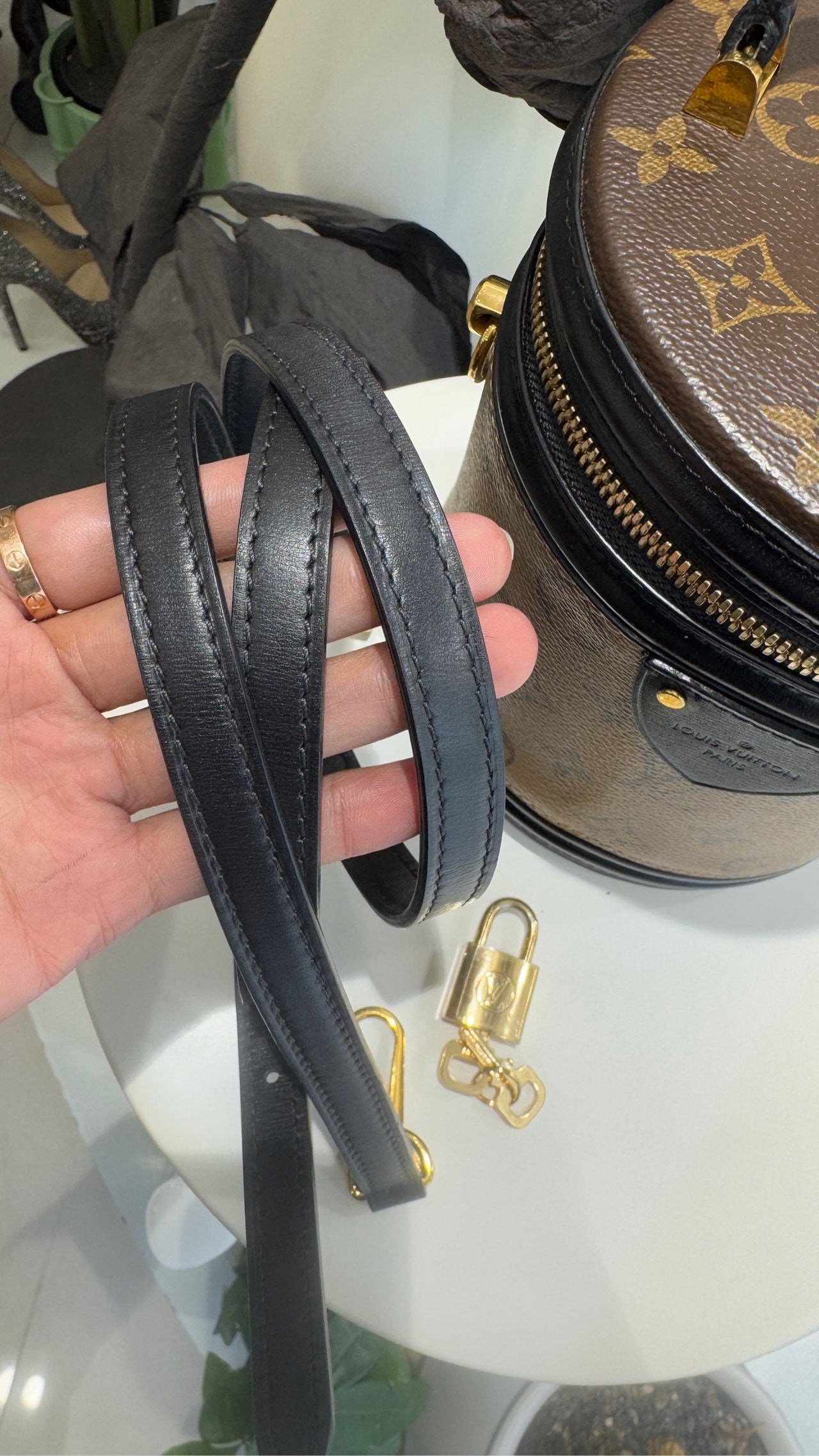 Louis Vuitton - Cannes - Leather - Brown - (mini)