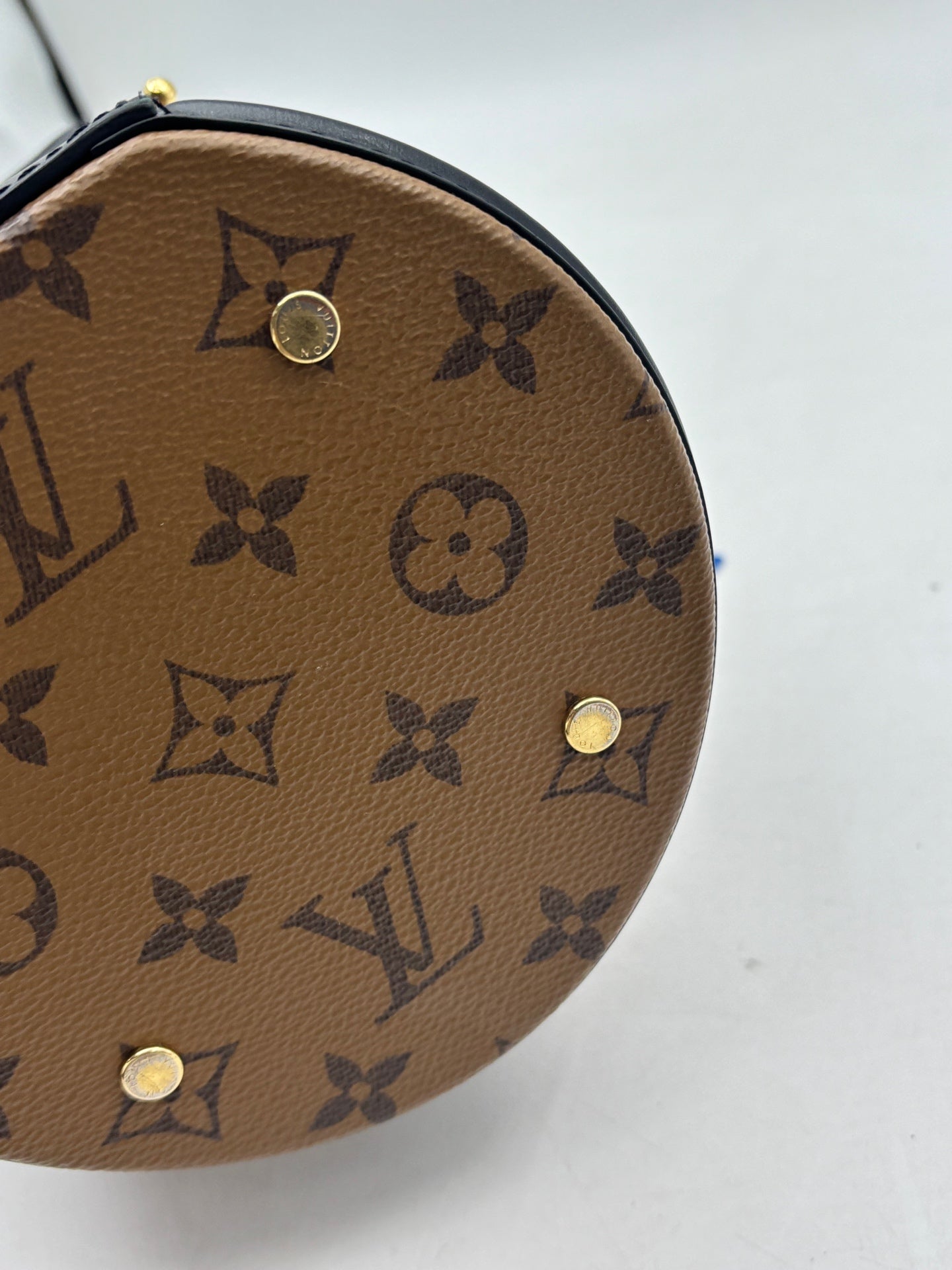 Louis Vuitton - Cannes - Leather - Brown - (mini)