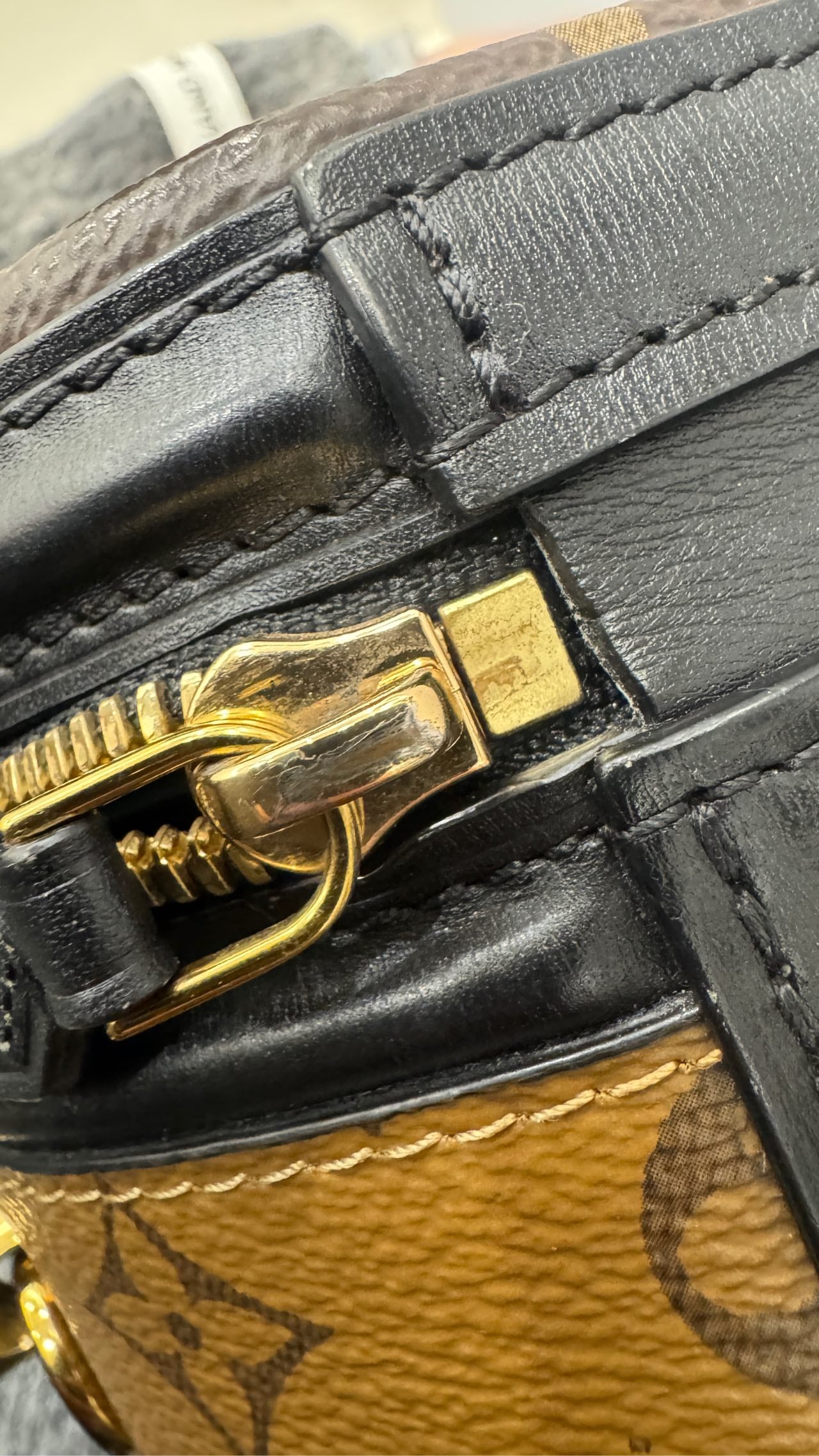 Louis Vuitton - Cannes - Leather - Brown - (mini)