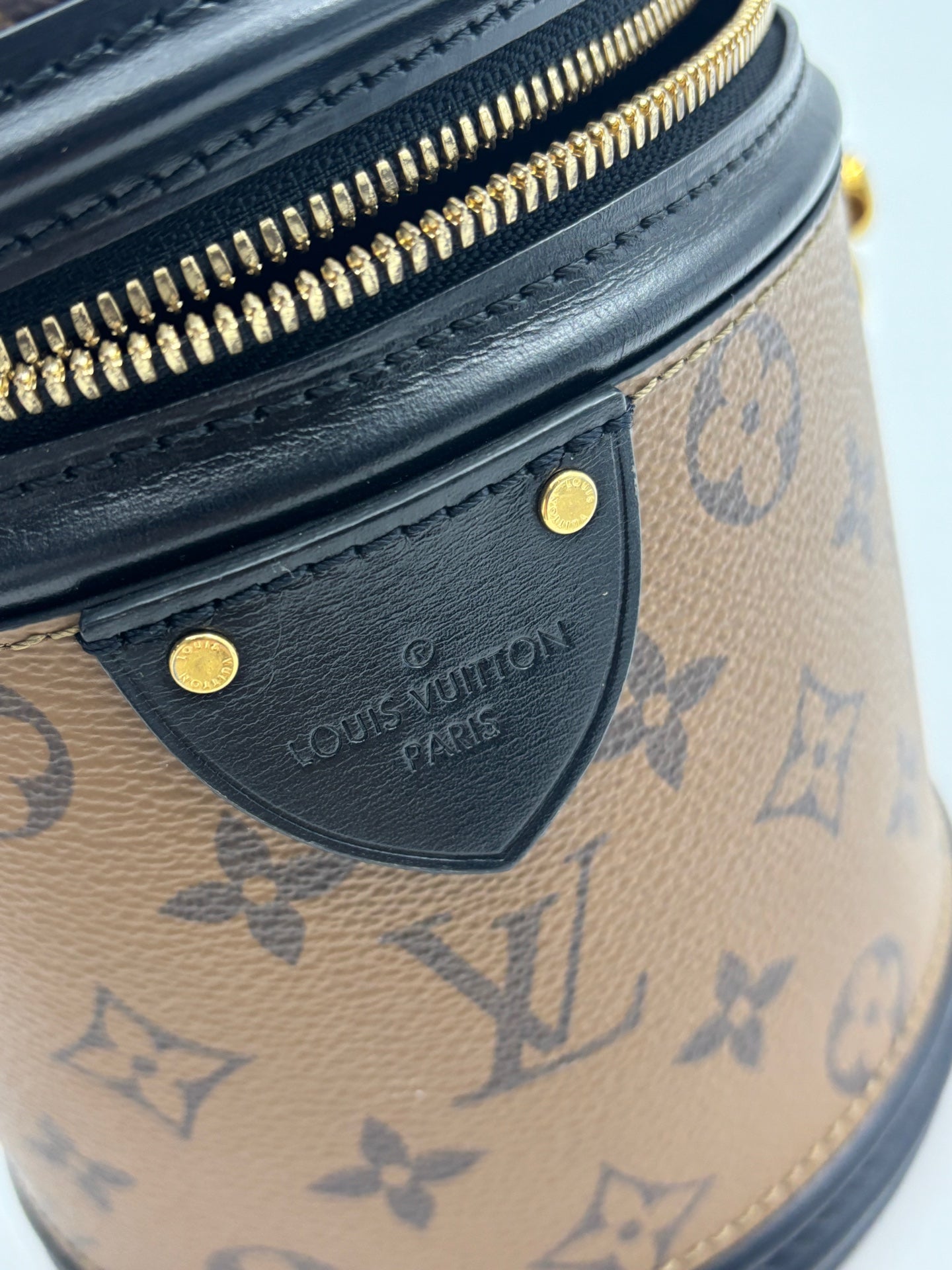 Louis Vuitton - Cannes - Leather - Brown - (mini)