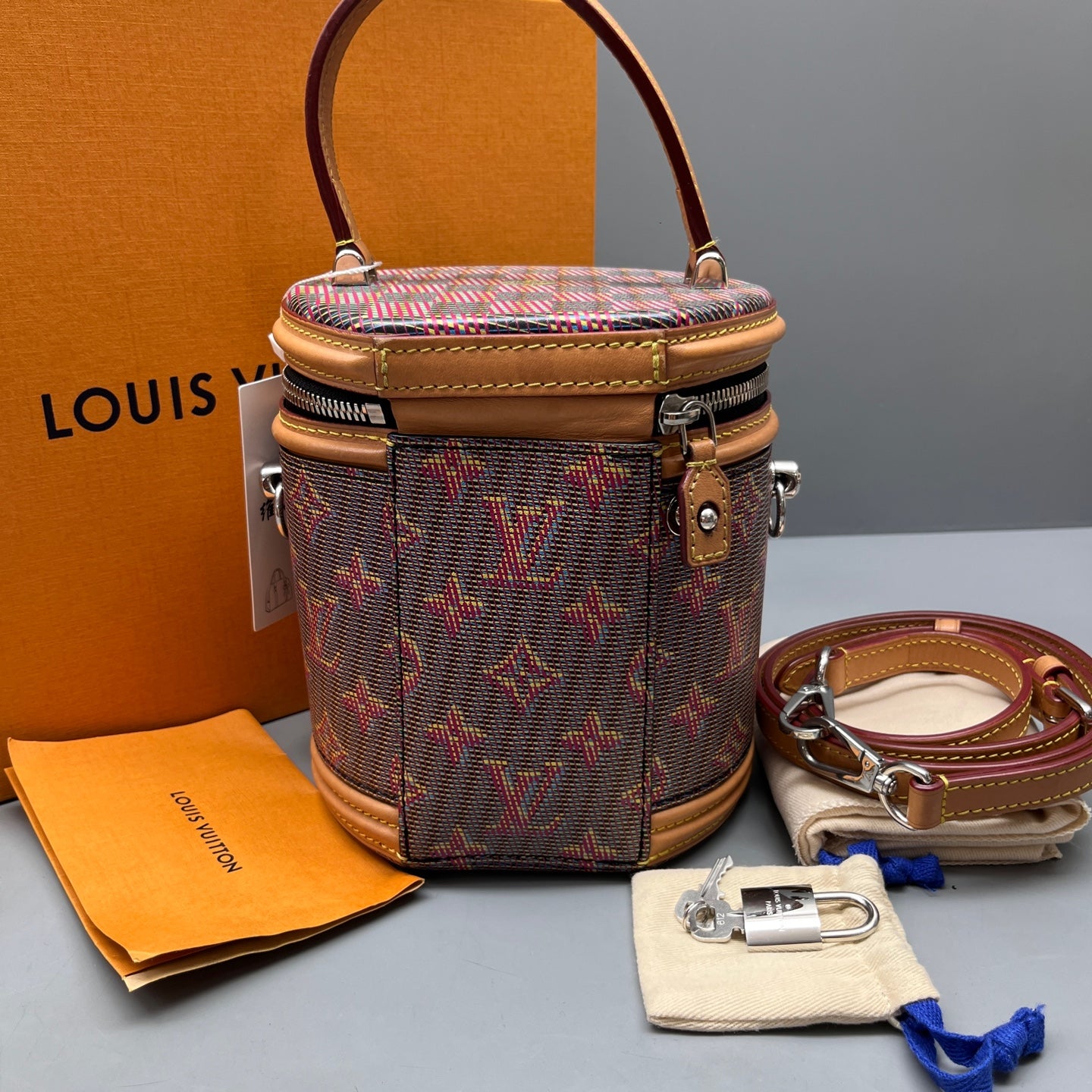 Louis Vuitton - Cannes - Leather - Multicolour - (mini)